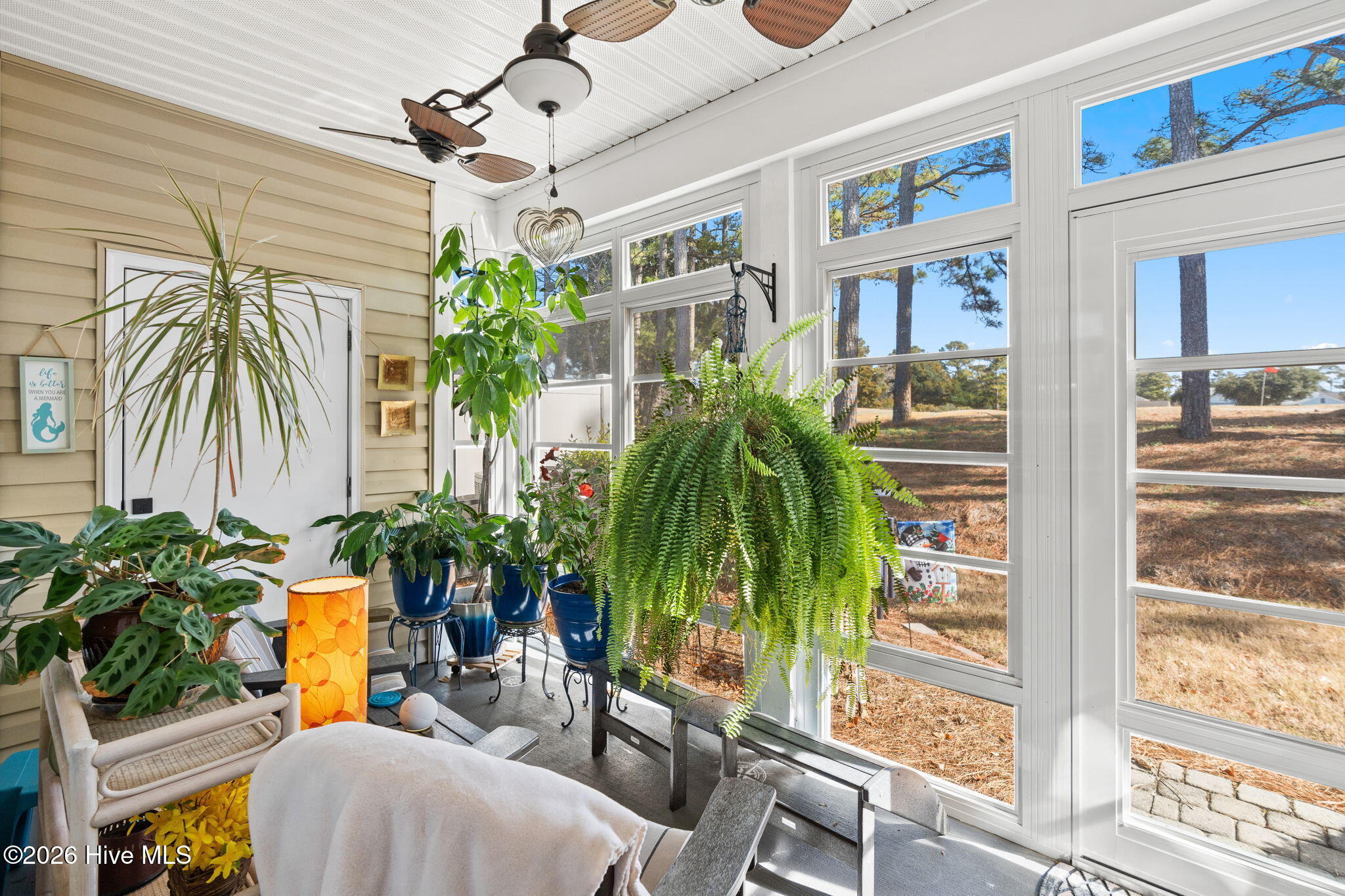 100550752 | Photo 19