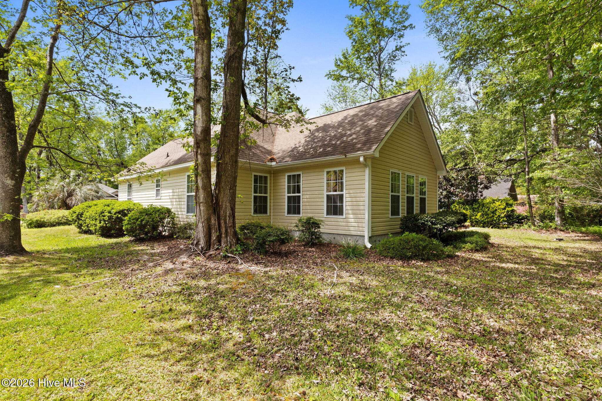 100566520 | Photo 25