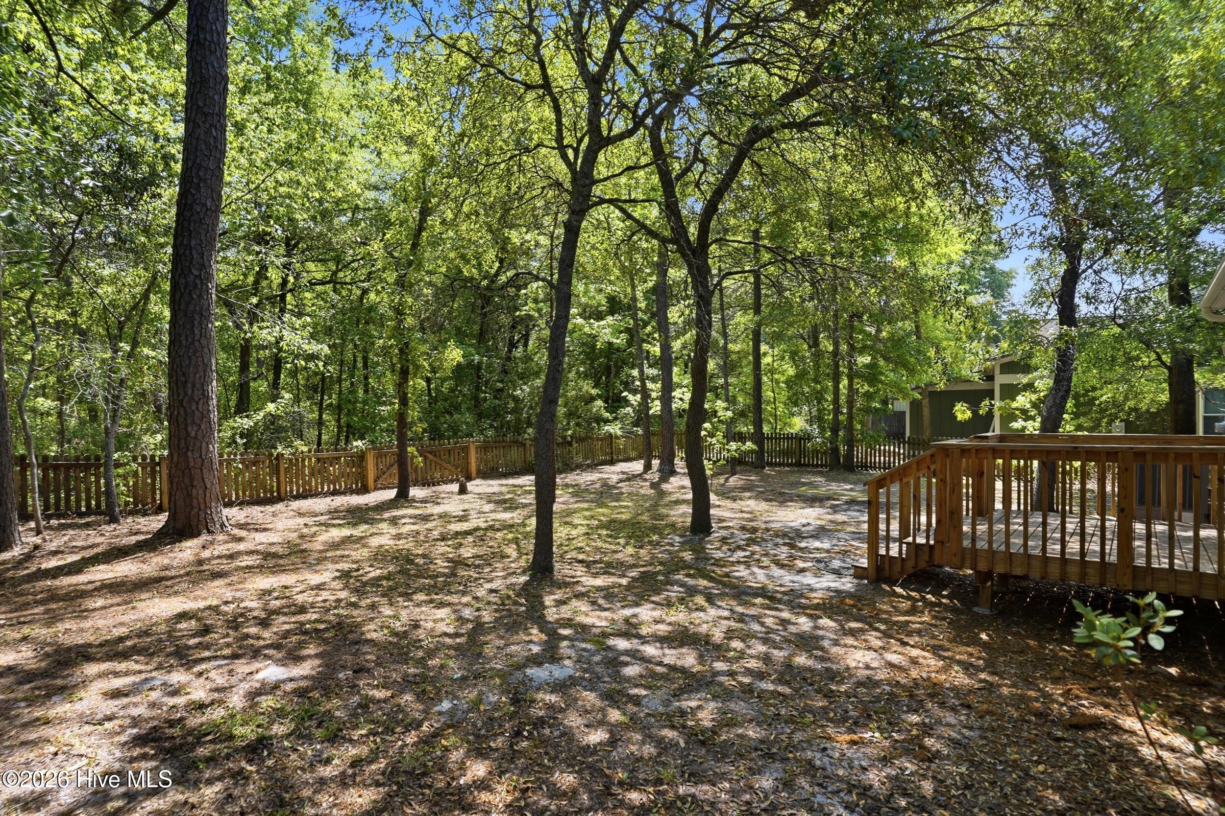 100569296 | Photo 21