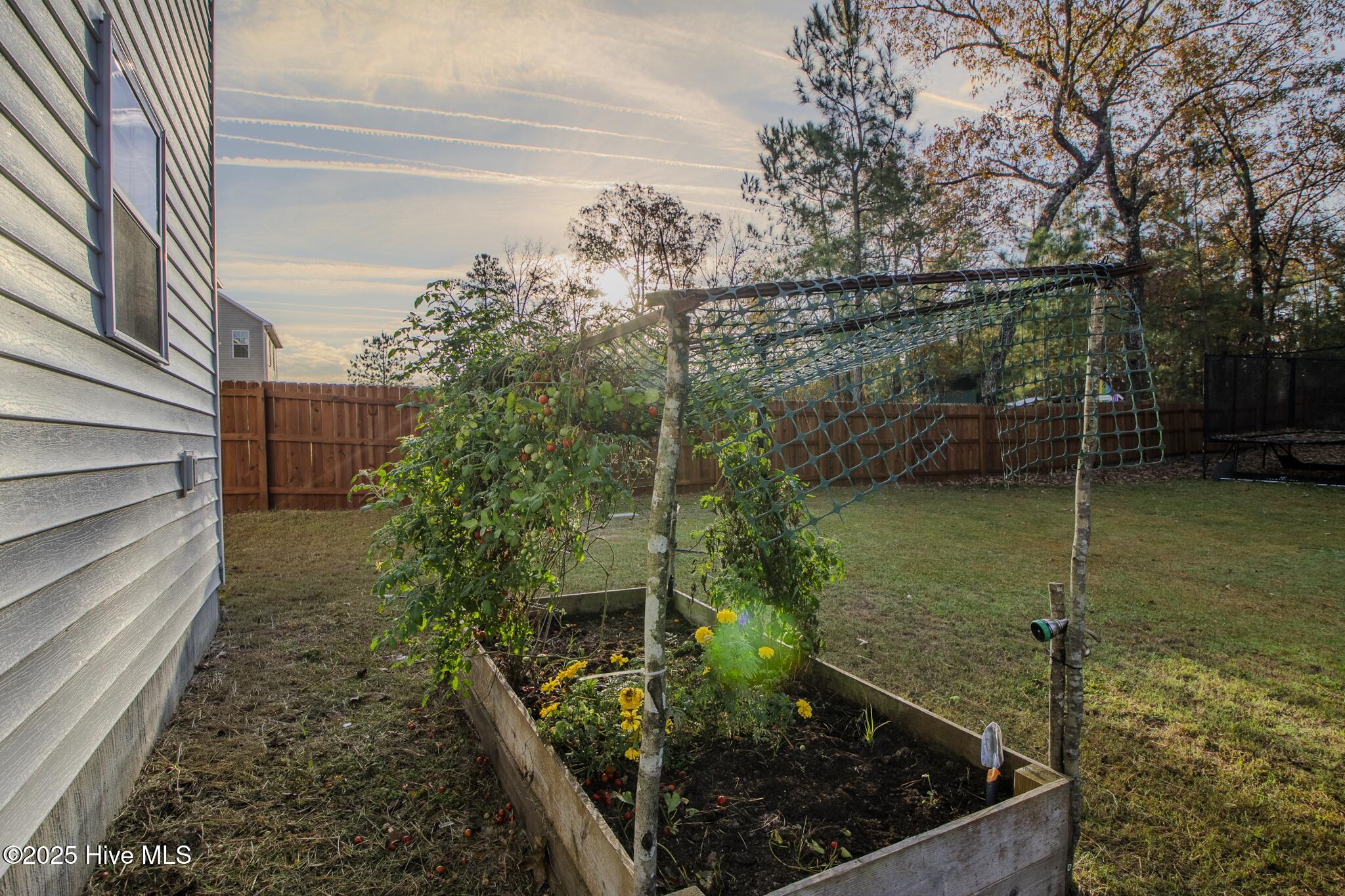 100543314 | Photo 28