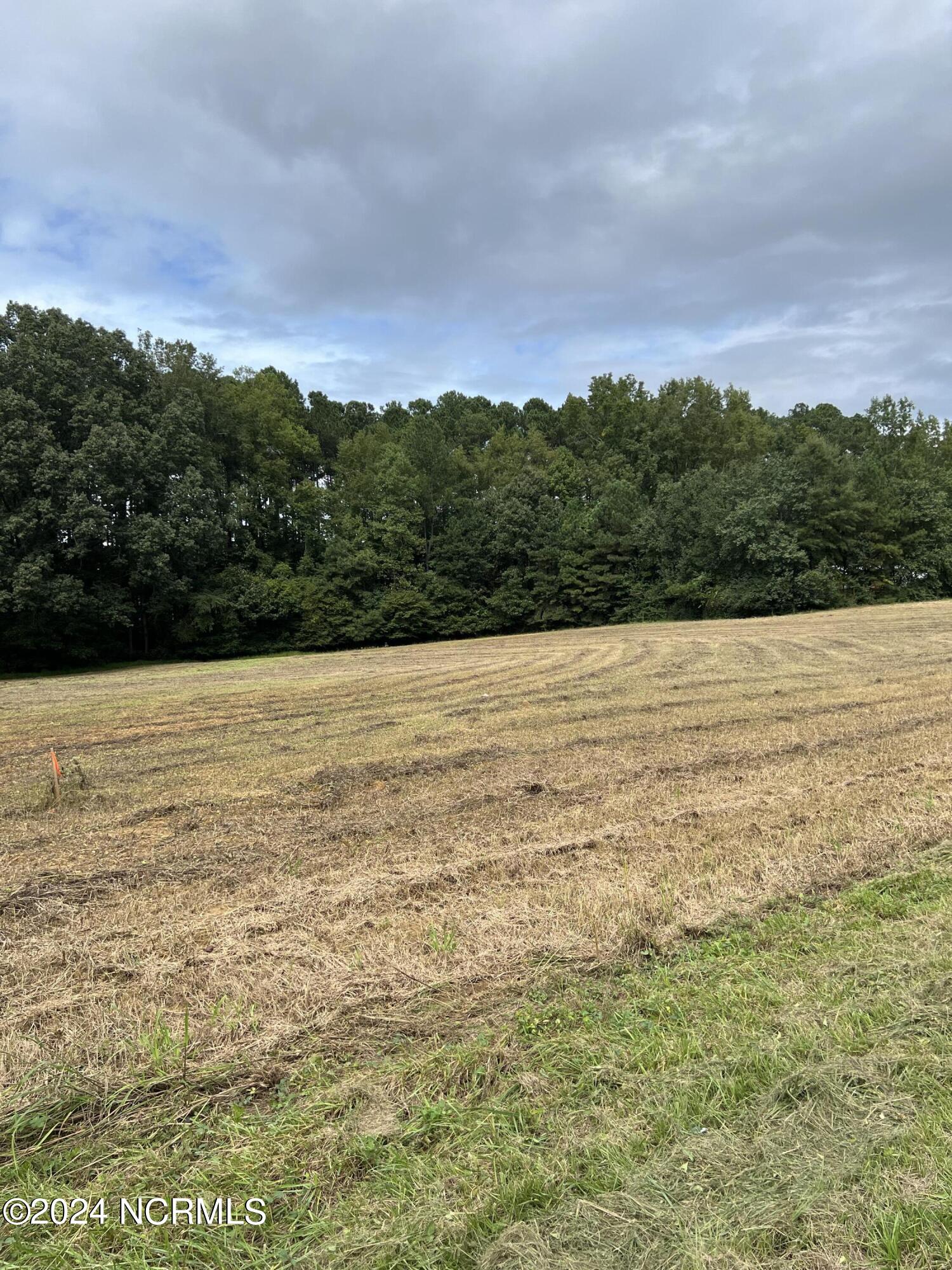 Lot 4 Hwy 264a, Bailey, NC, 27807