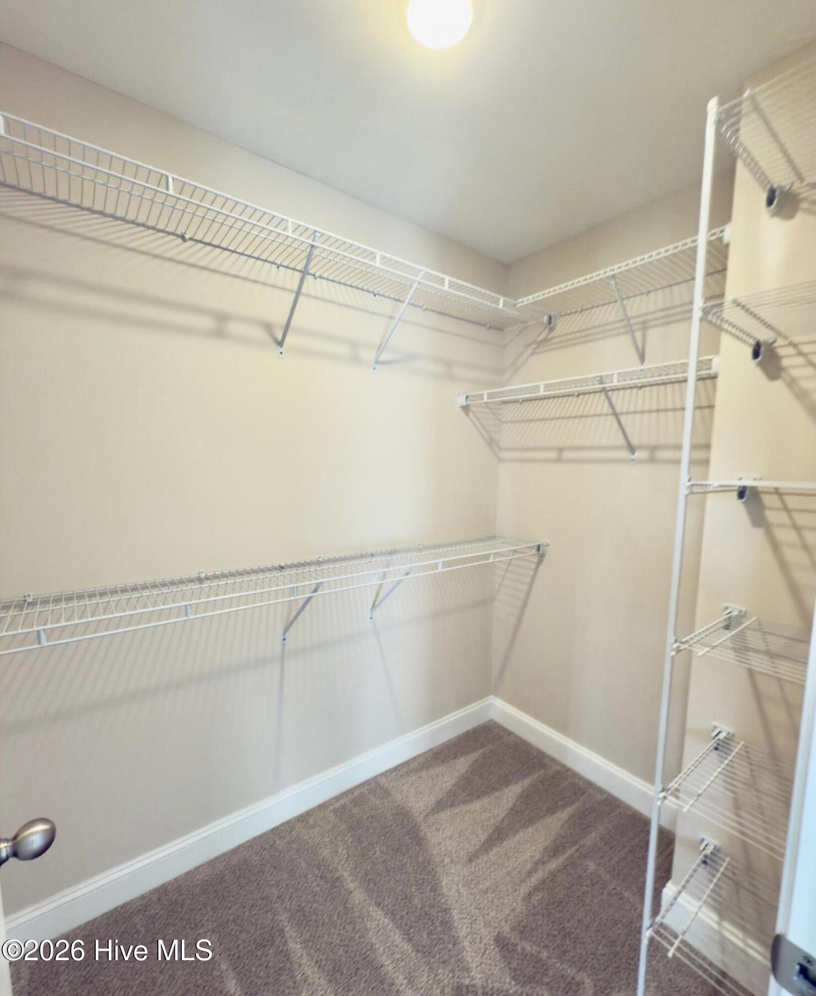 4371 W Pine Street UNIT A, Farmville, NC, 27828