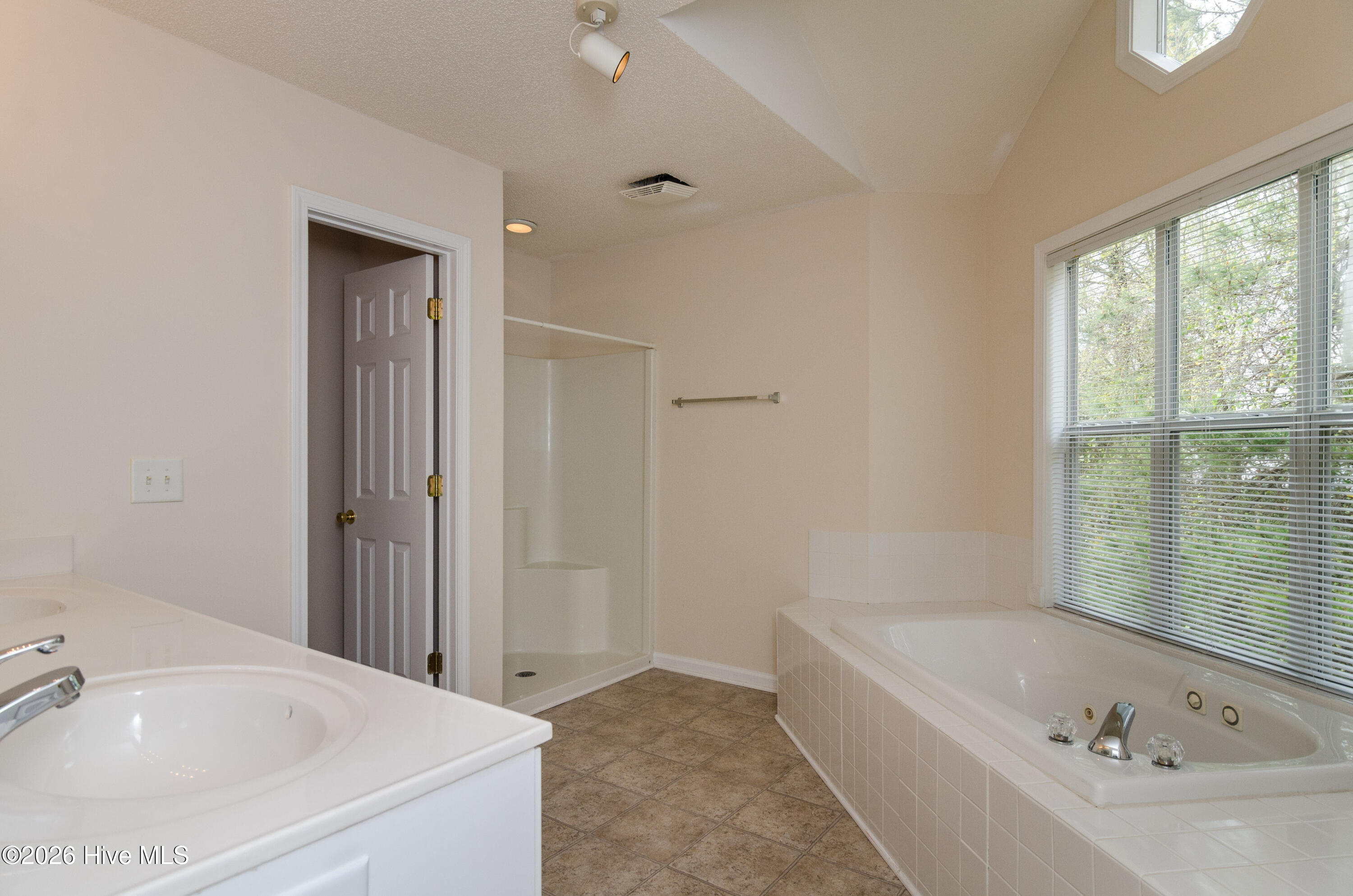 100559057 | Photo 13