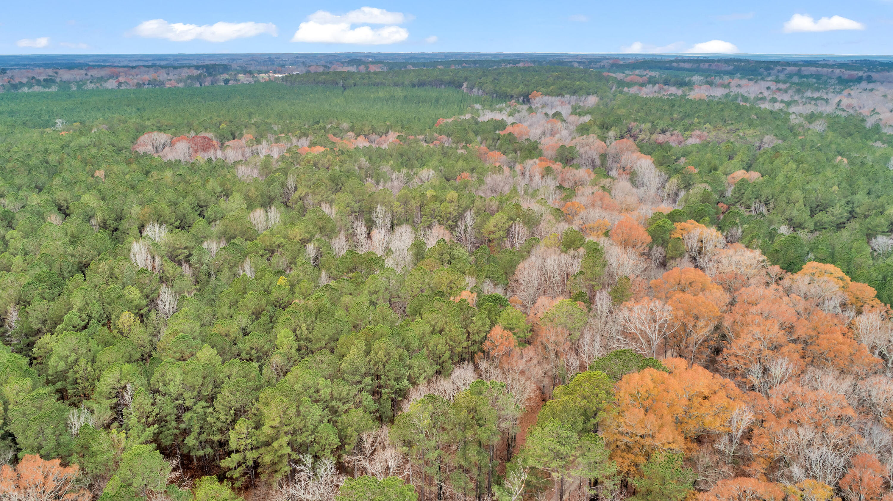 Saggus Rd land 121-007A, 200ft View, Dro