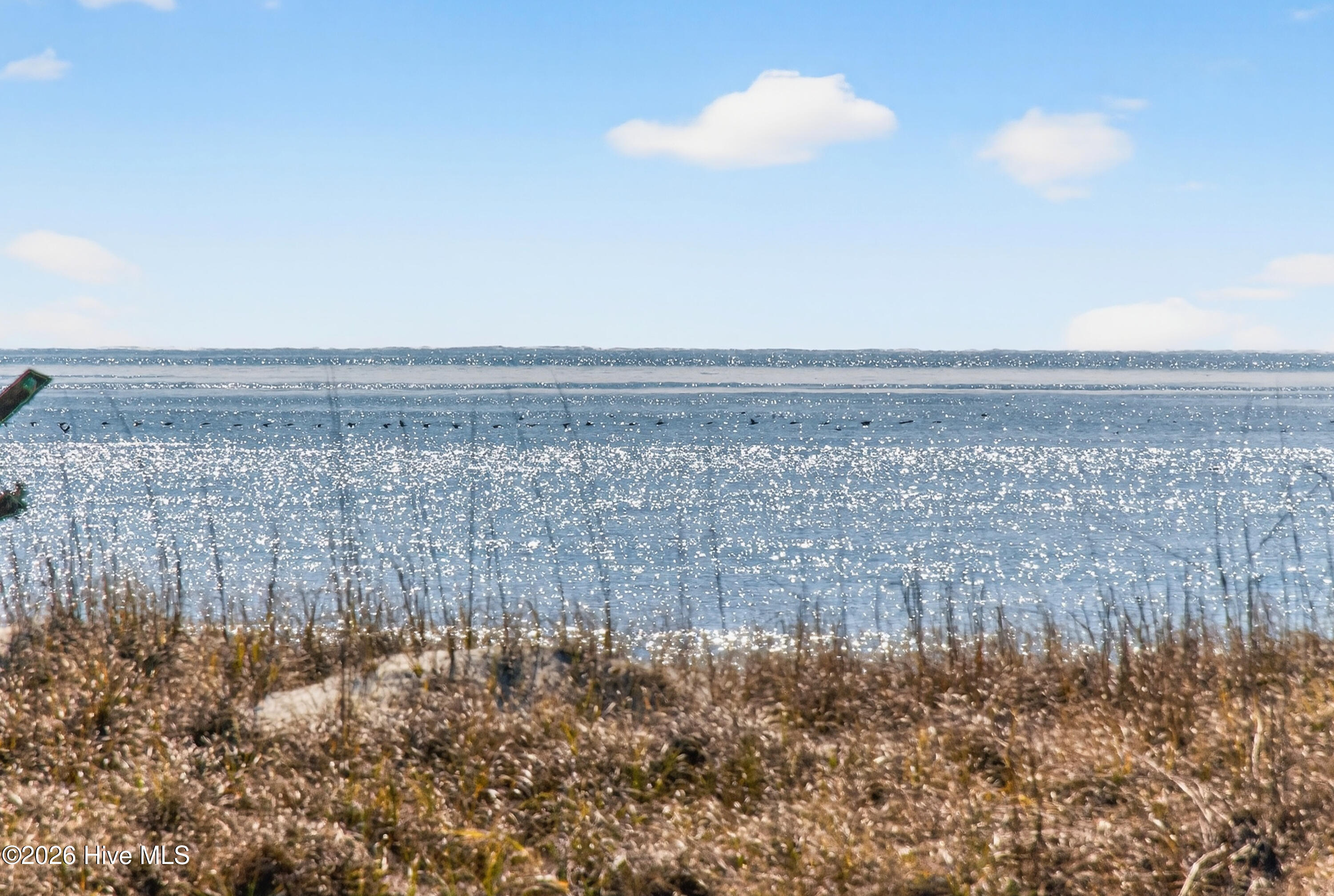 100560758 | Photo 38