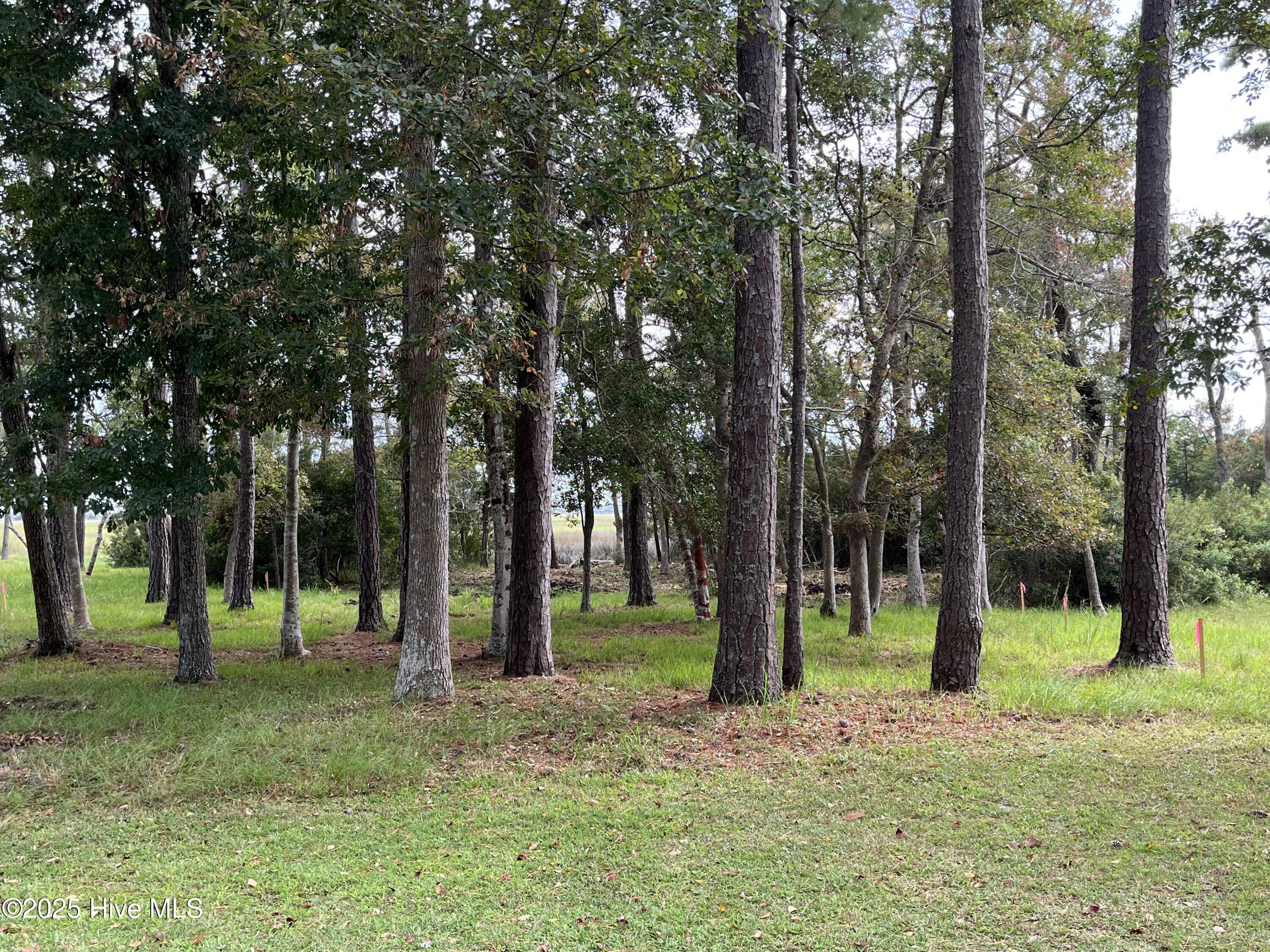 Lot is .31 acres