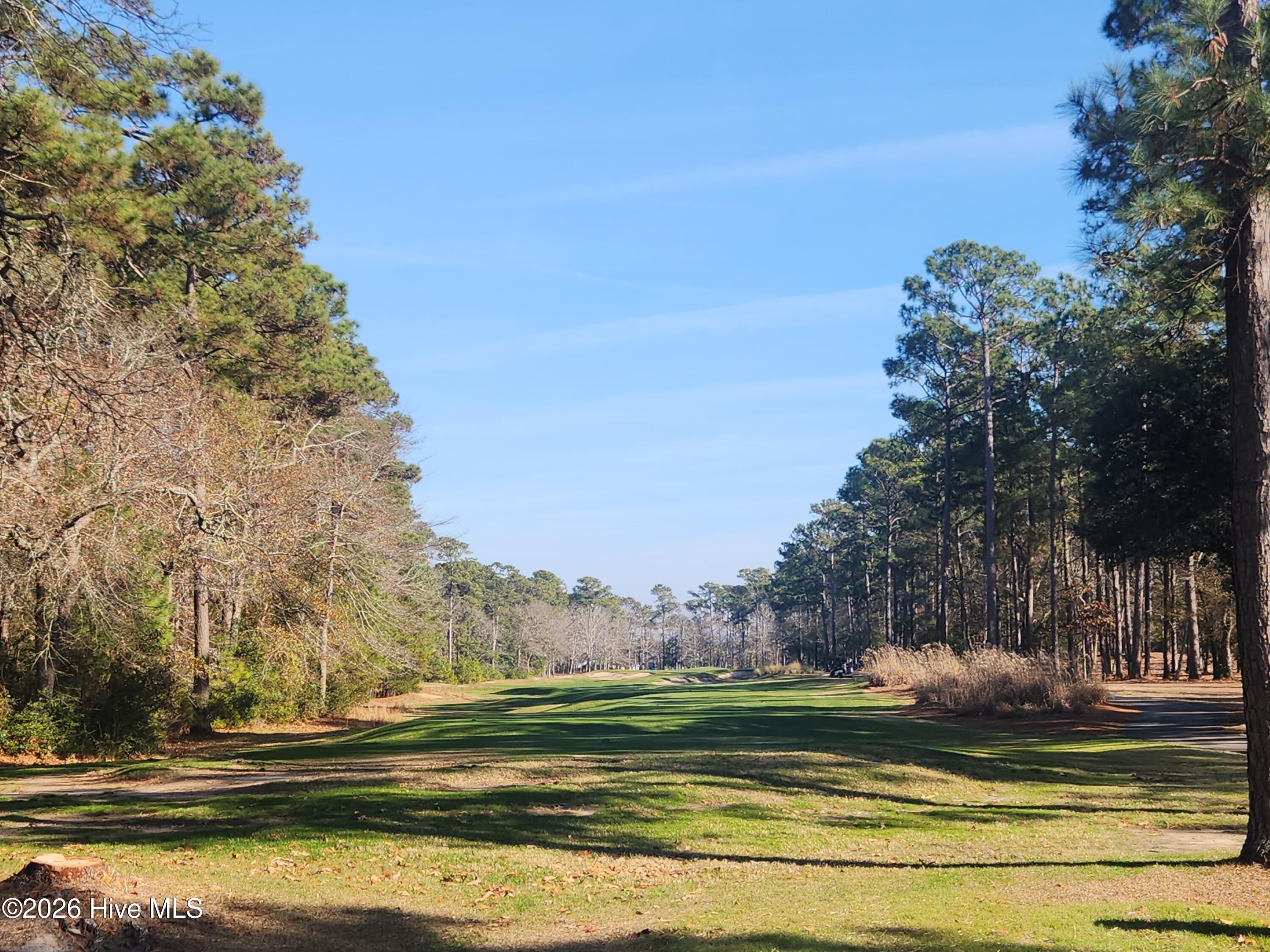 100547774 | Photo 12