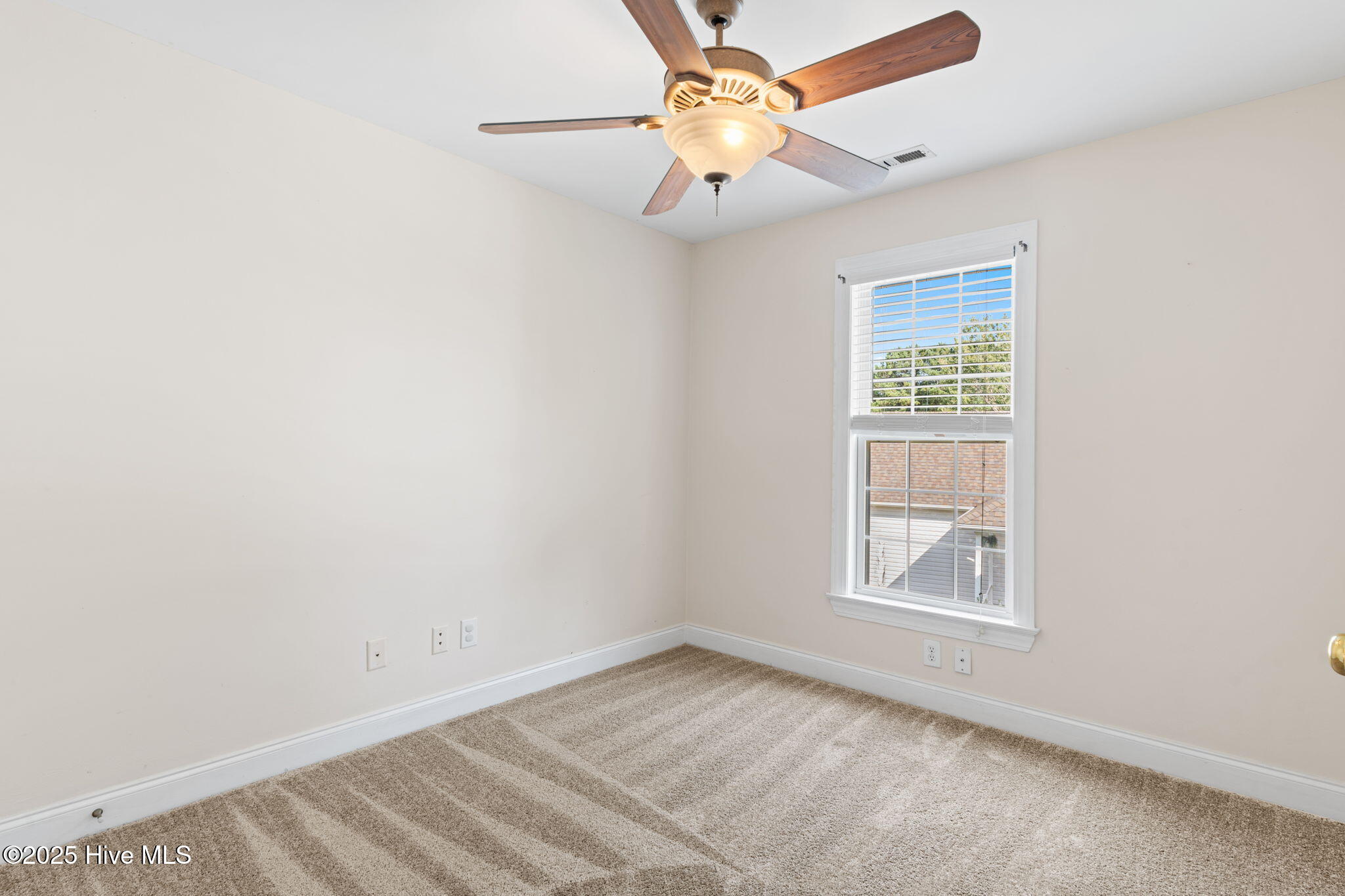 100532081 | Photo 56