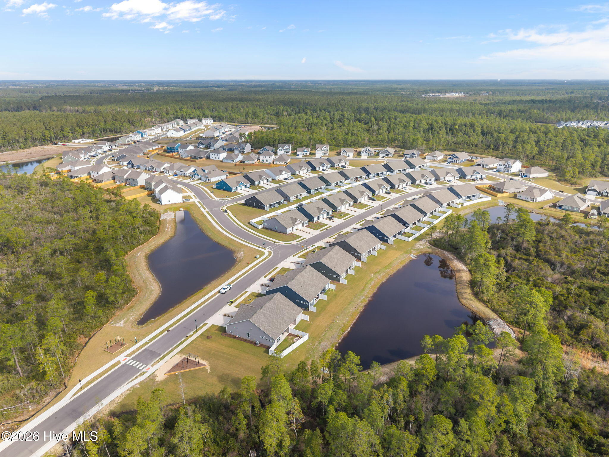 100563227 | Photo 39