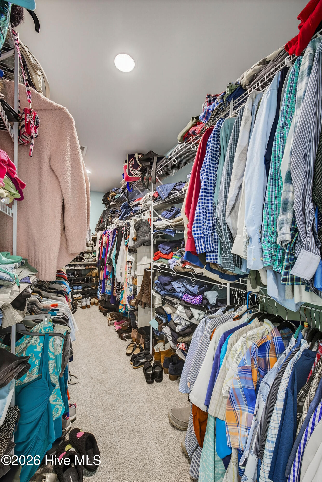 100558217 | Photo 33