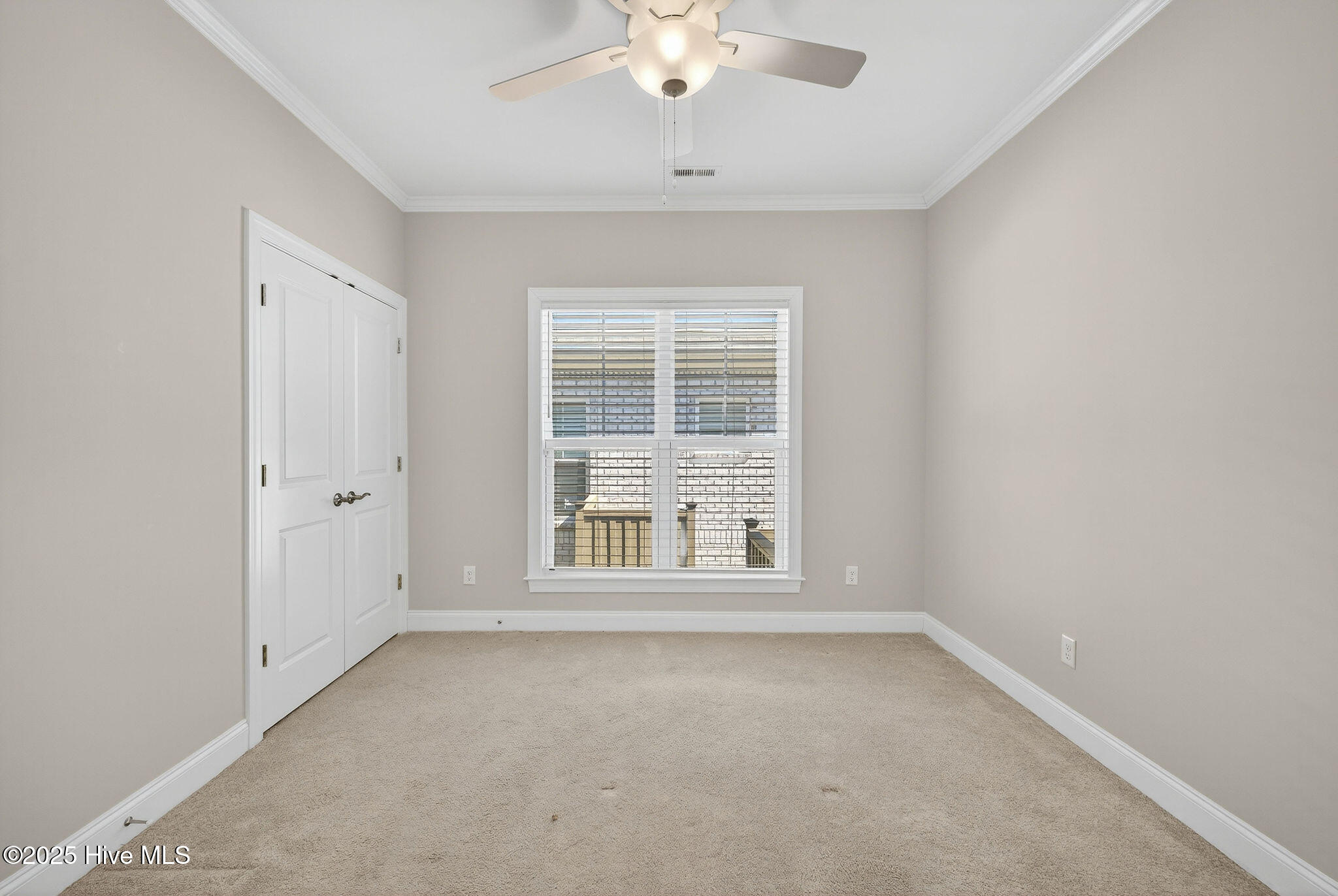 100529139 | Photo 30