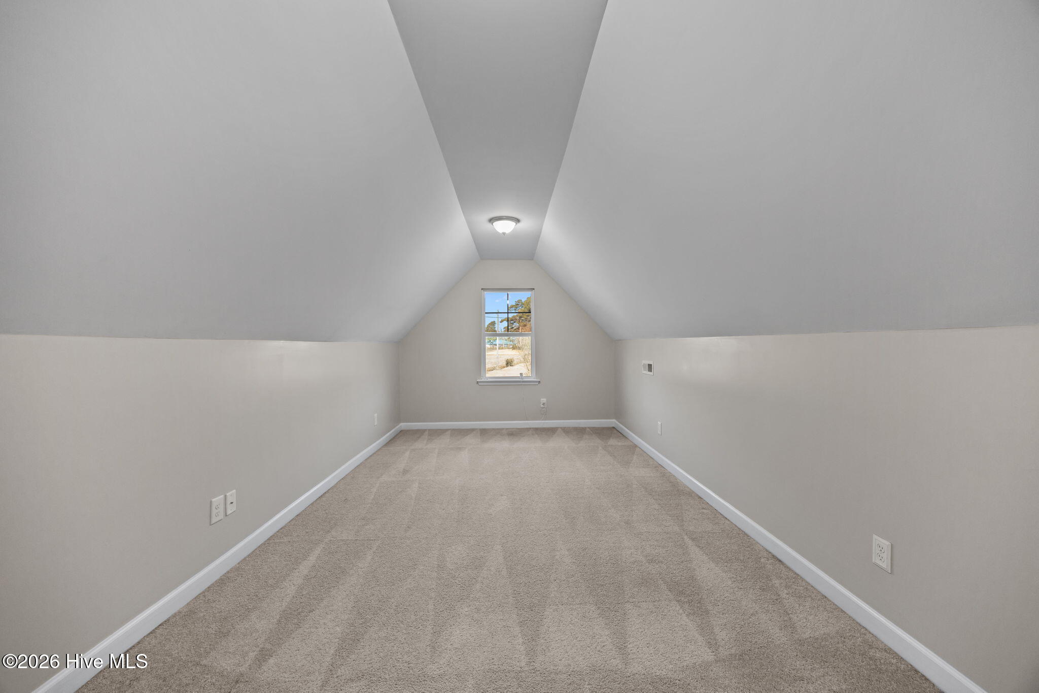 100553679 | Photo 30