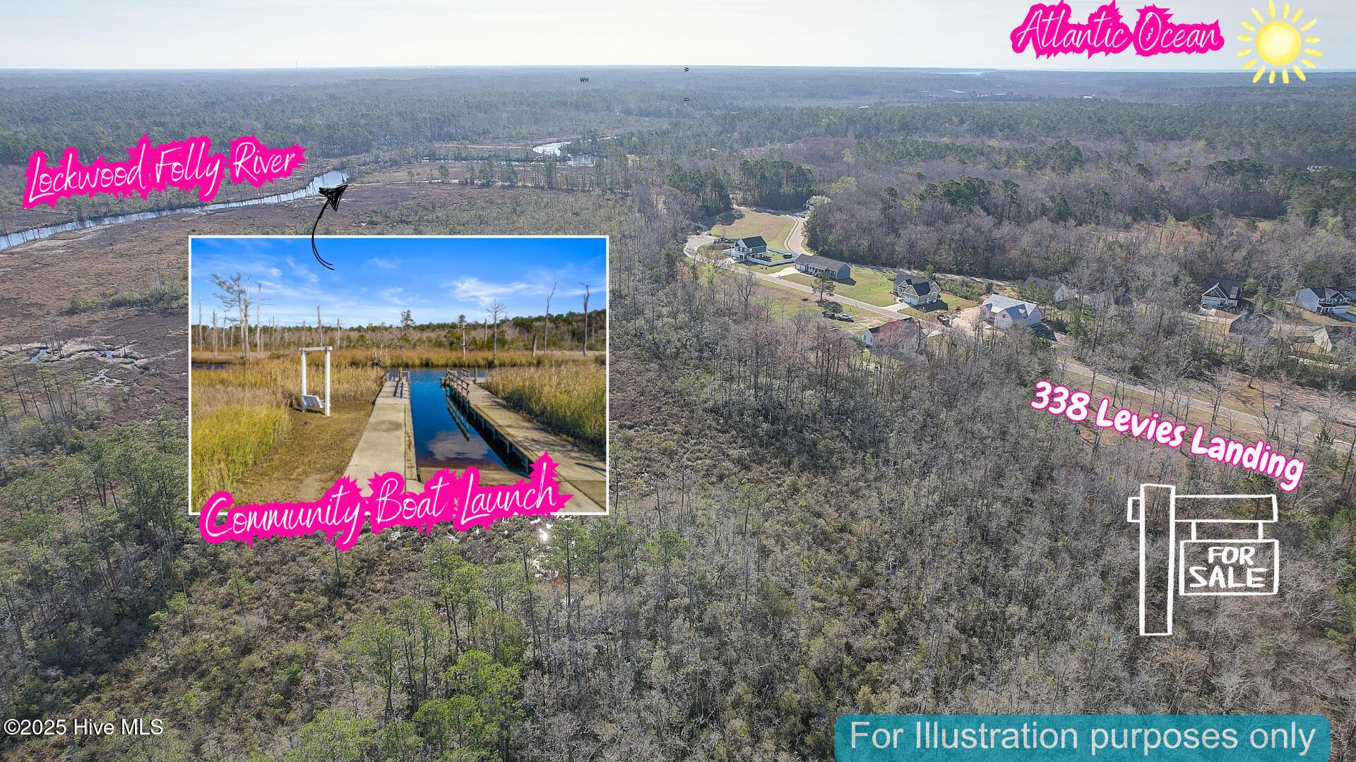 100501532 | Photo 12