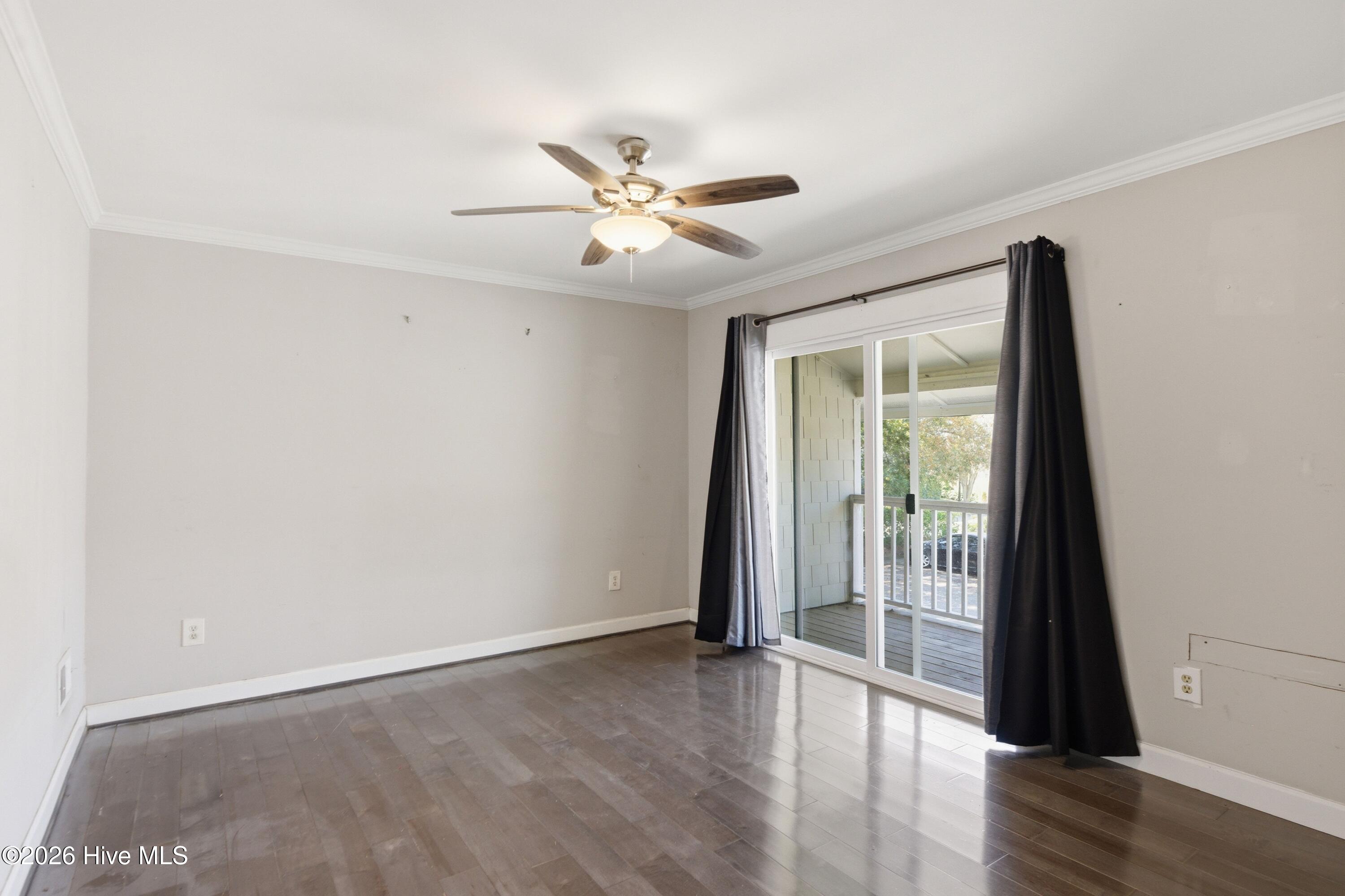 100559841 | Photo 11