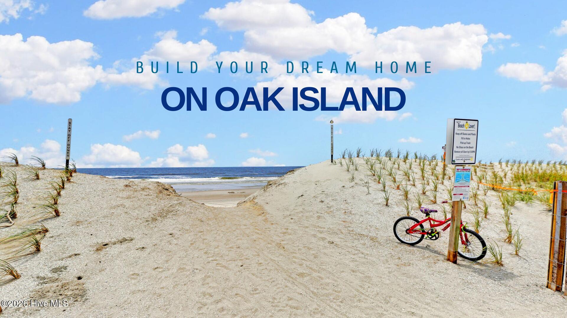 100558912 | Photo 29