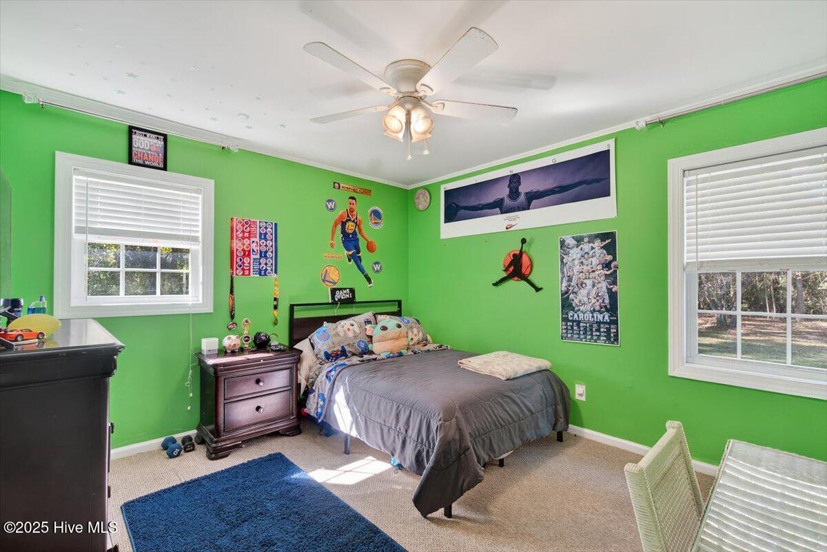 100539192 | Photo 20