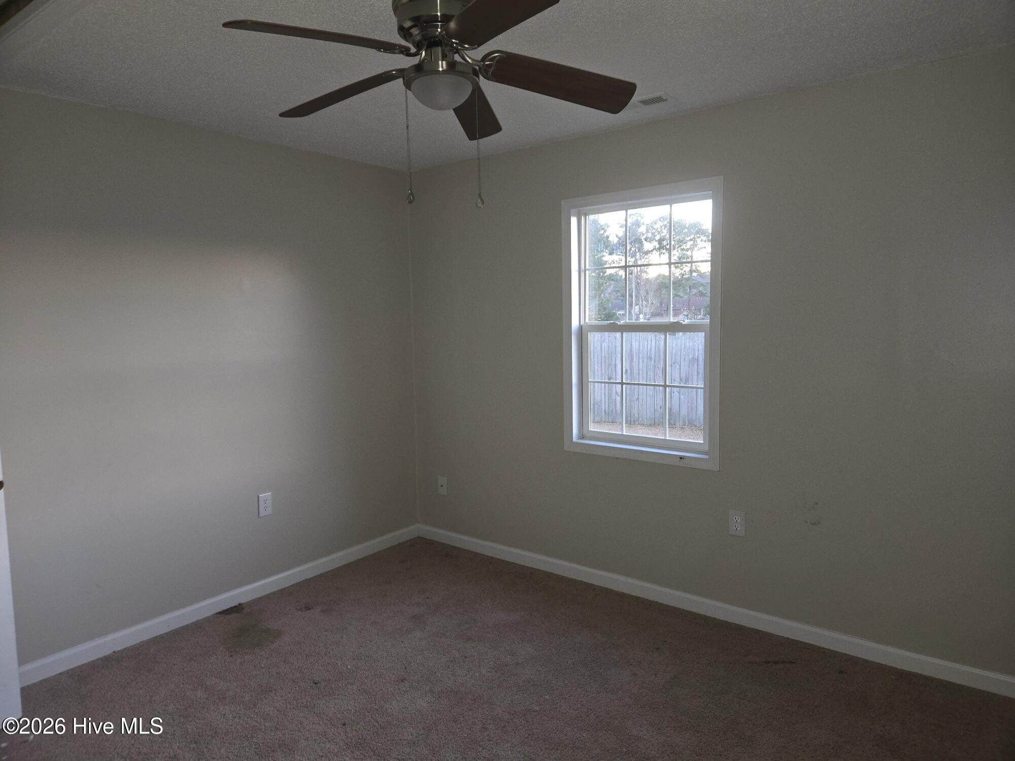 100553885 | Photo 11