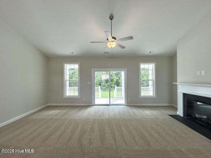 100553181 | Photo 11