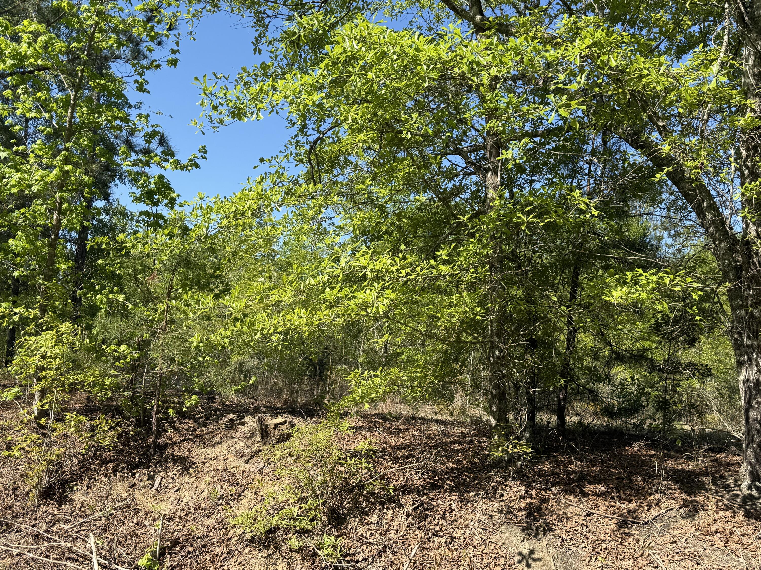 8087 Sandhill Road, Mitchell, GA, 30820