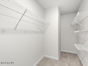 100584920 | Photo 22