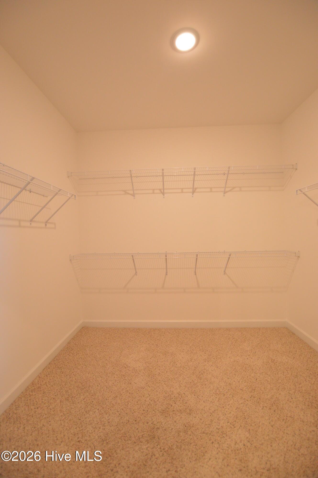 100562779 | Photo 20