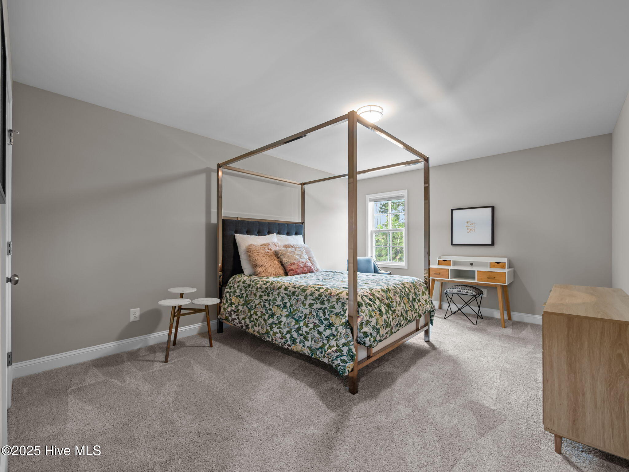 100546187 | Photo 41