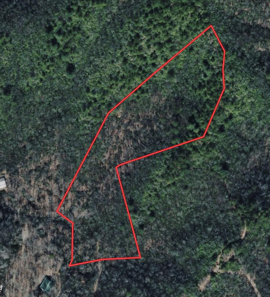 0 Compass Creek, Hayesville, North Carolina, 0 ,For sale,Compass Creek,98525034 0 Compass Creek, Hayesville, North Carolina, 0 ,For sale,Compass Creek,98525034