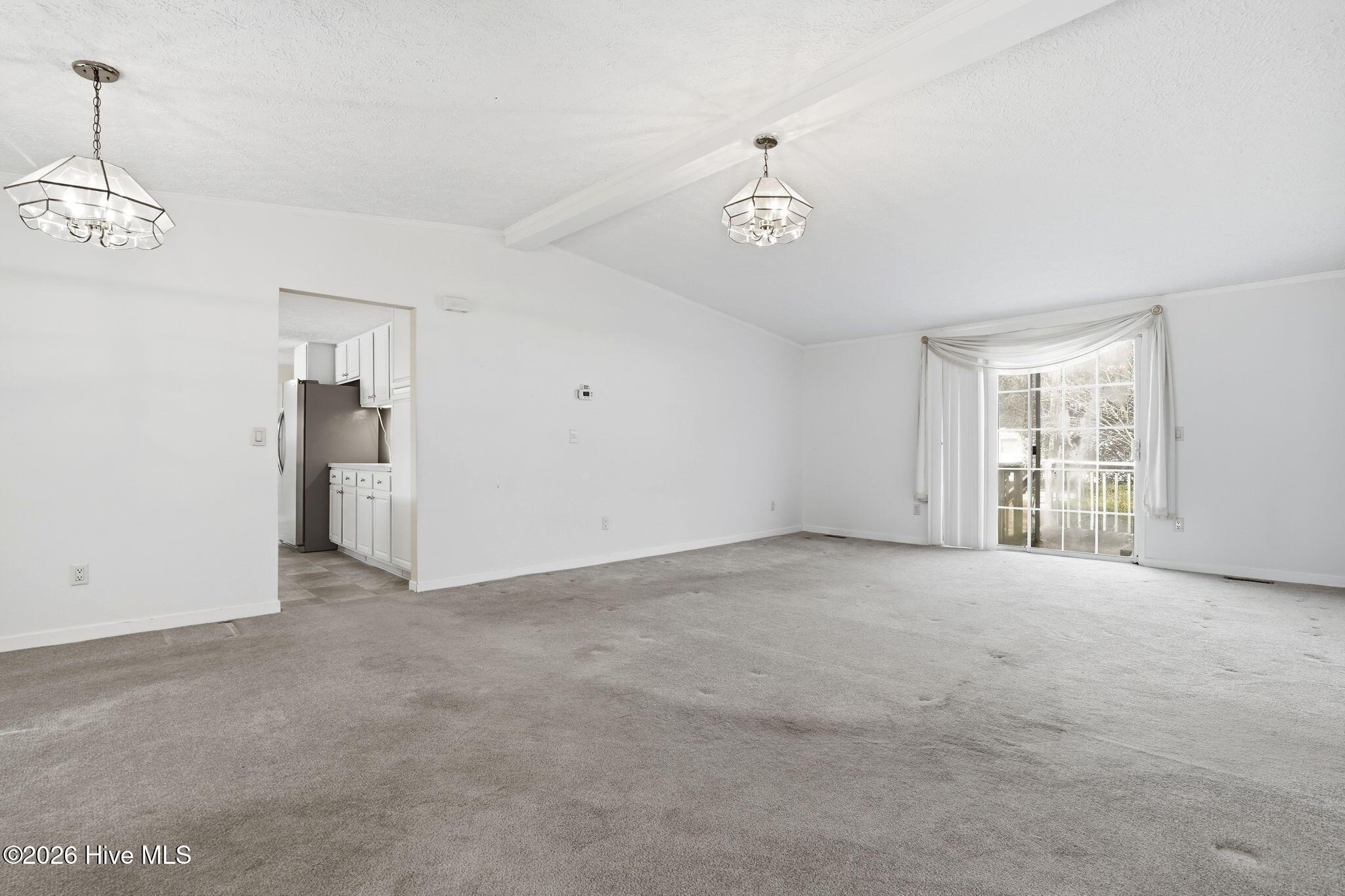 100556115 | Photo 37