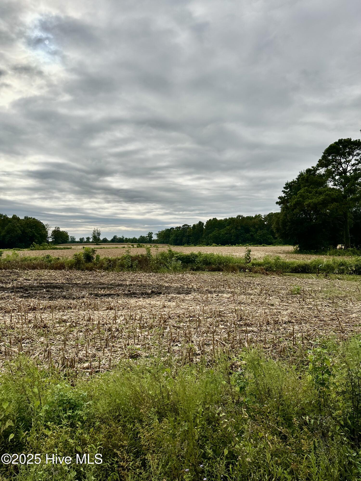 146 Cherry Street, Cerro Gordo, NC, 28430