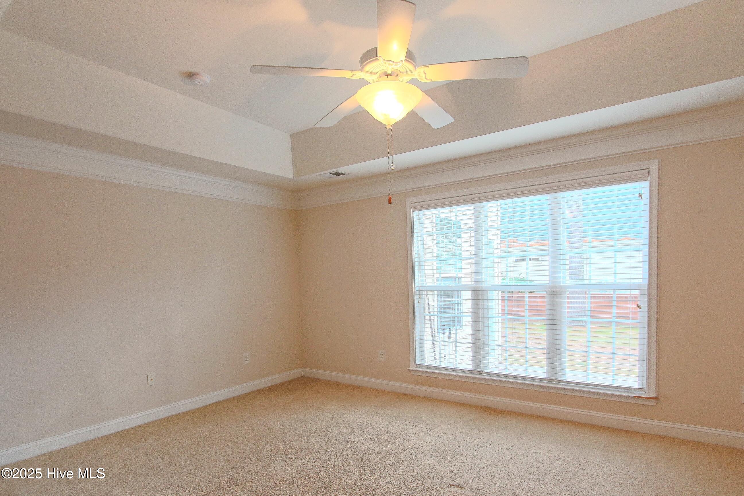 100478144 | Photo 24