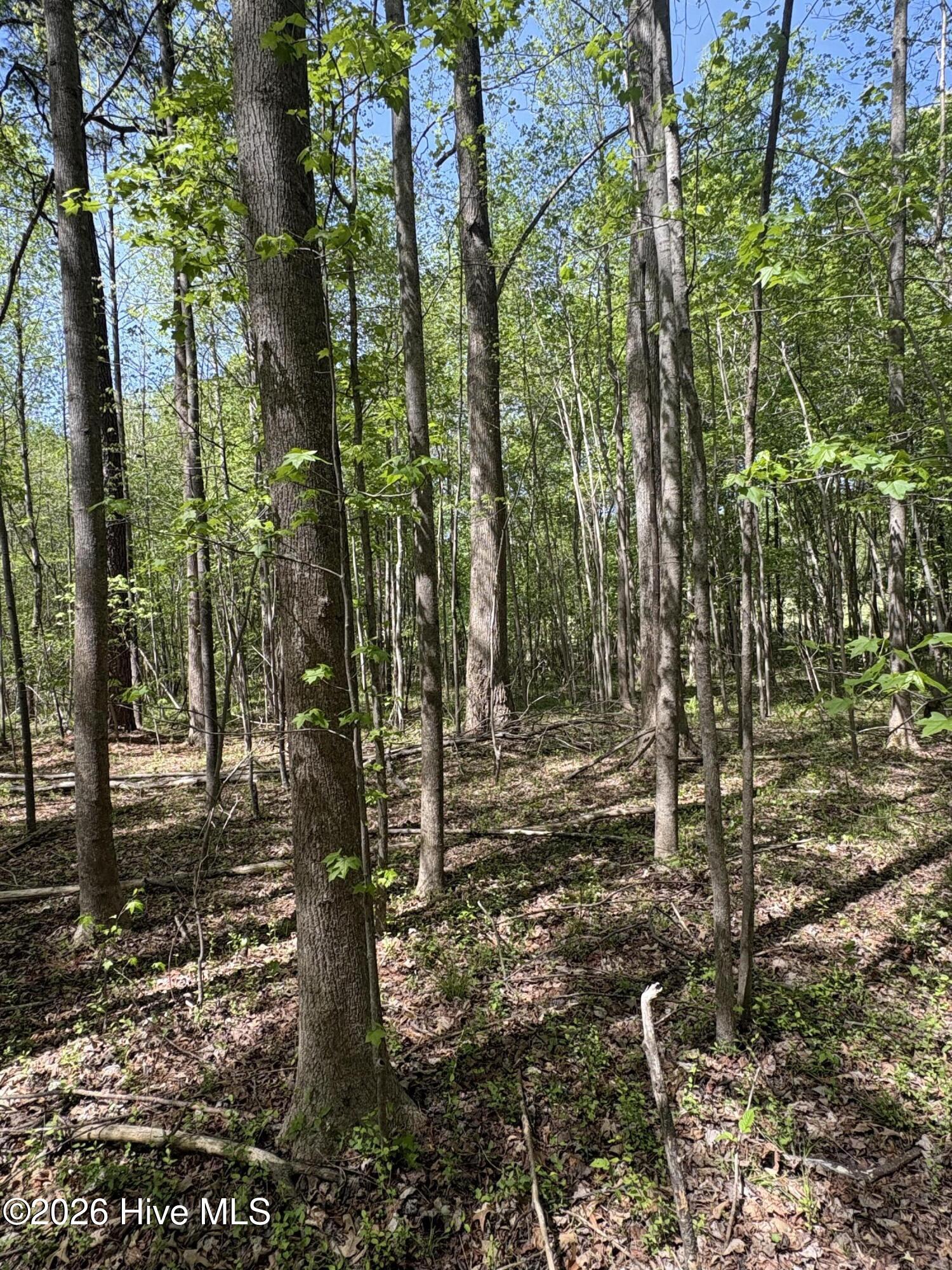 IMG_2427