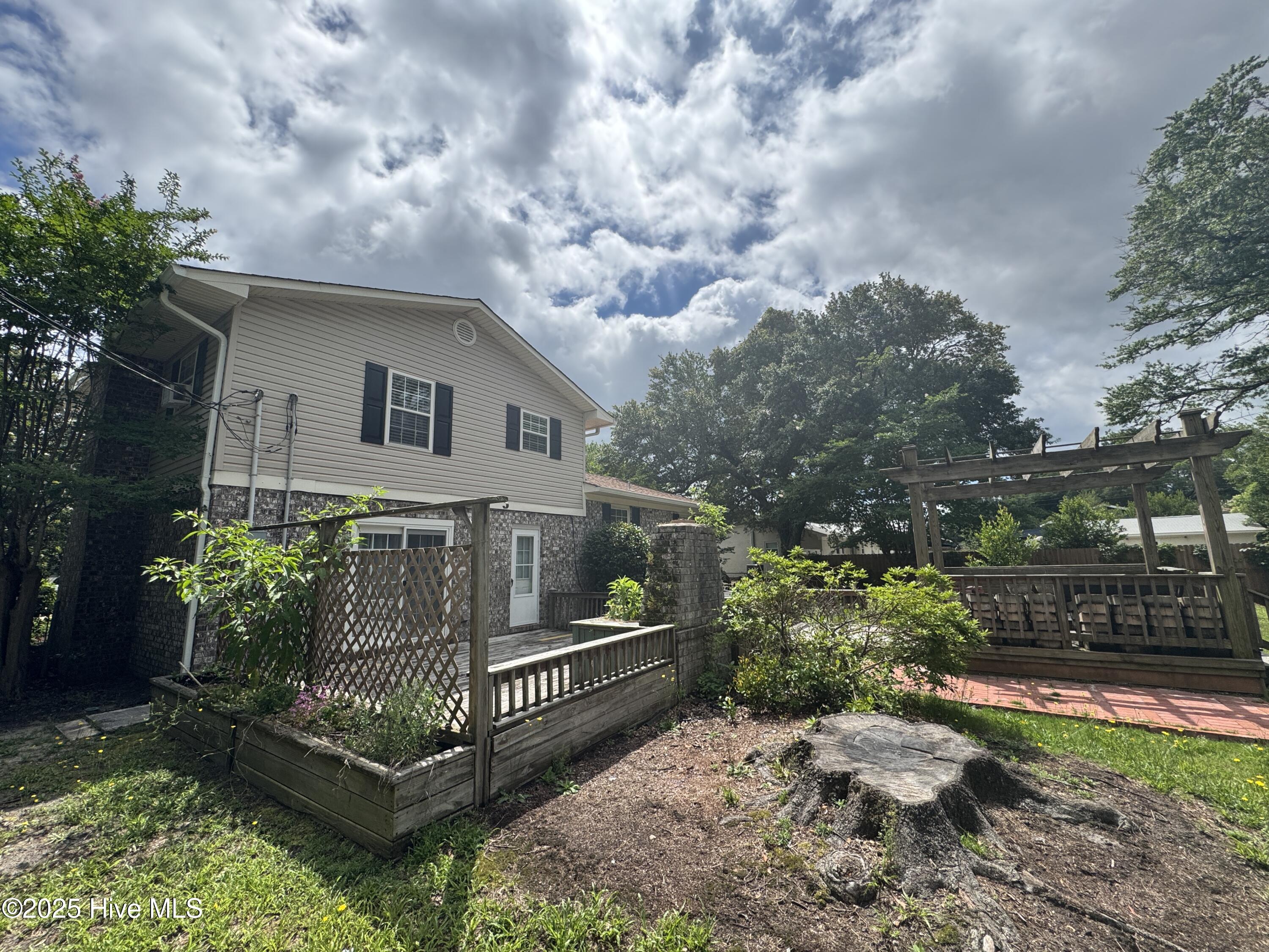 100511512 | Photo 23