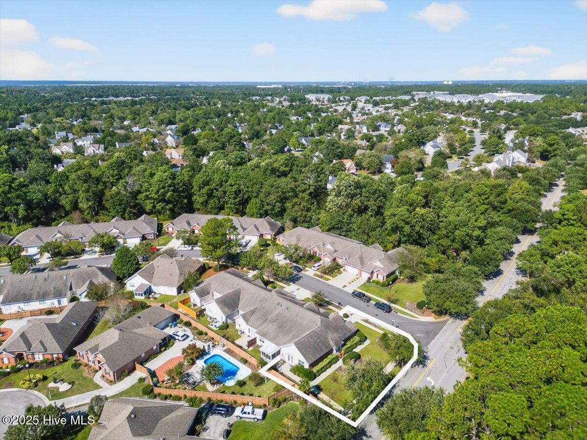 100535571 | Photo 17