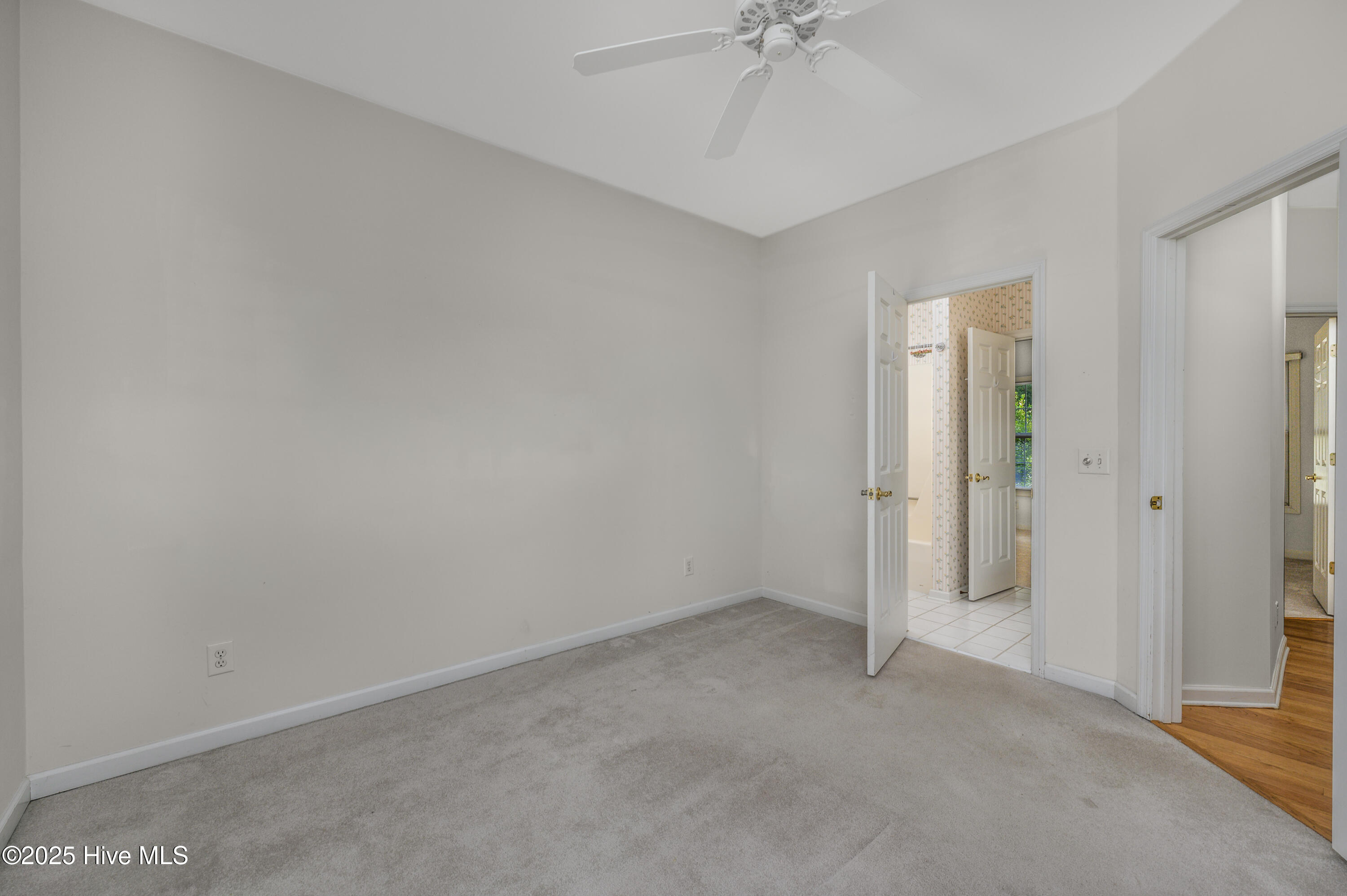 100541509 | Photo 23