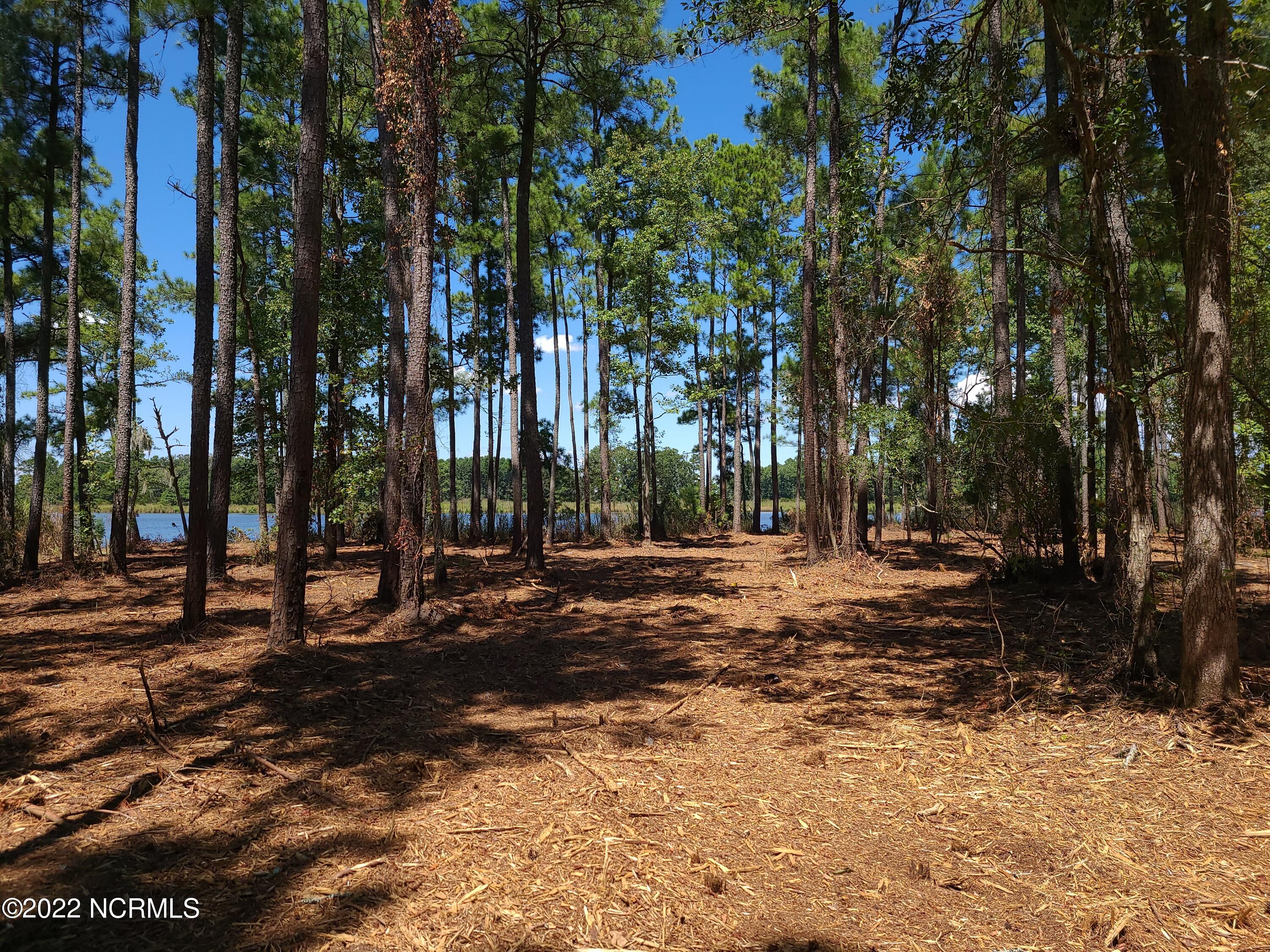 6 Ashton Drive, Bath, NC, 27808