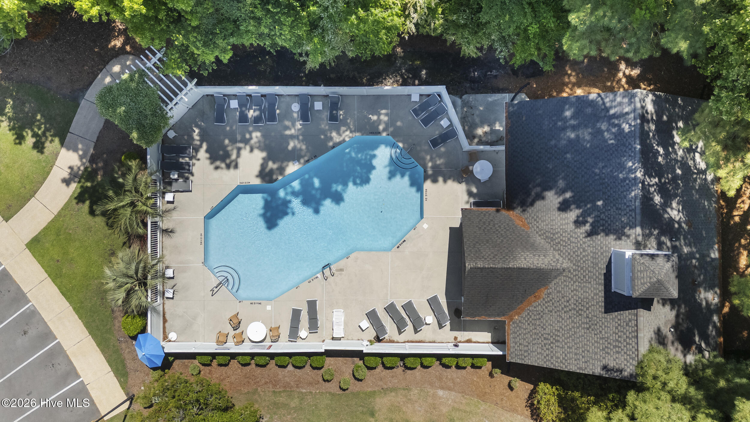 100570067 | Photo 34