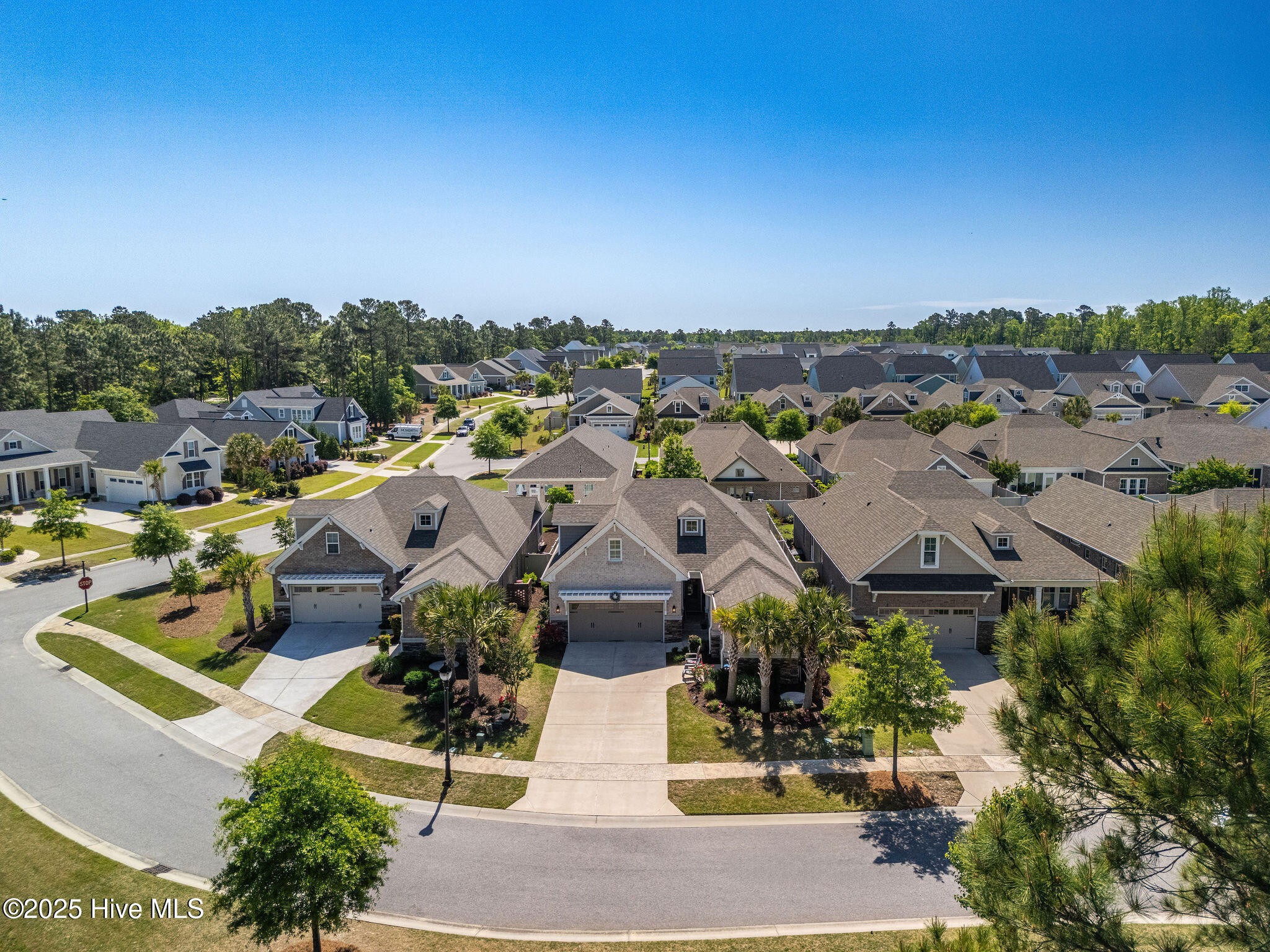 100540616 | Photo 55