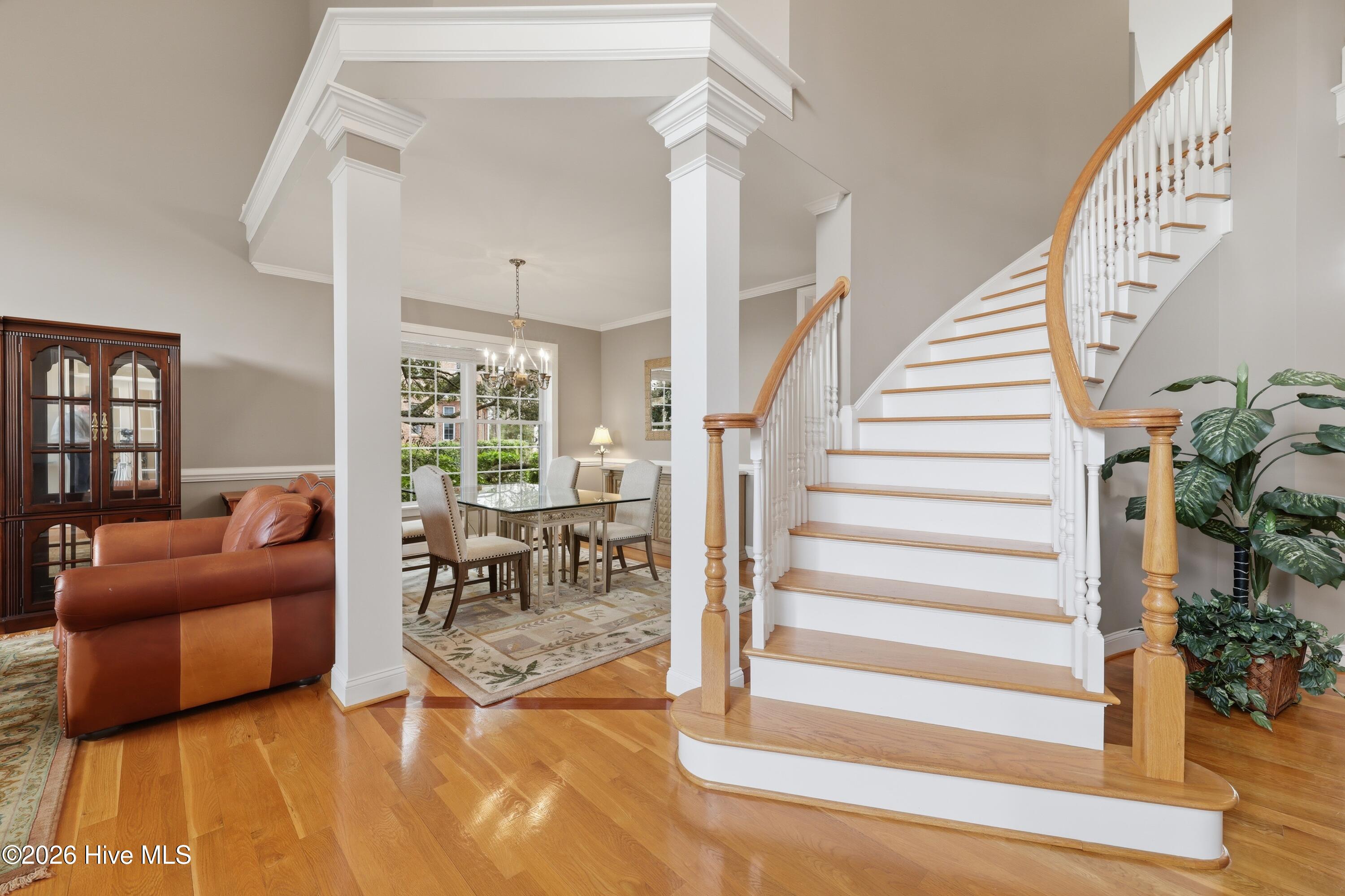 100558451 | Photo 10