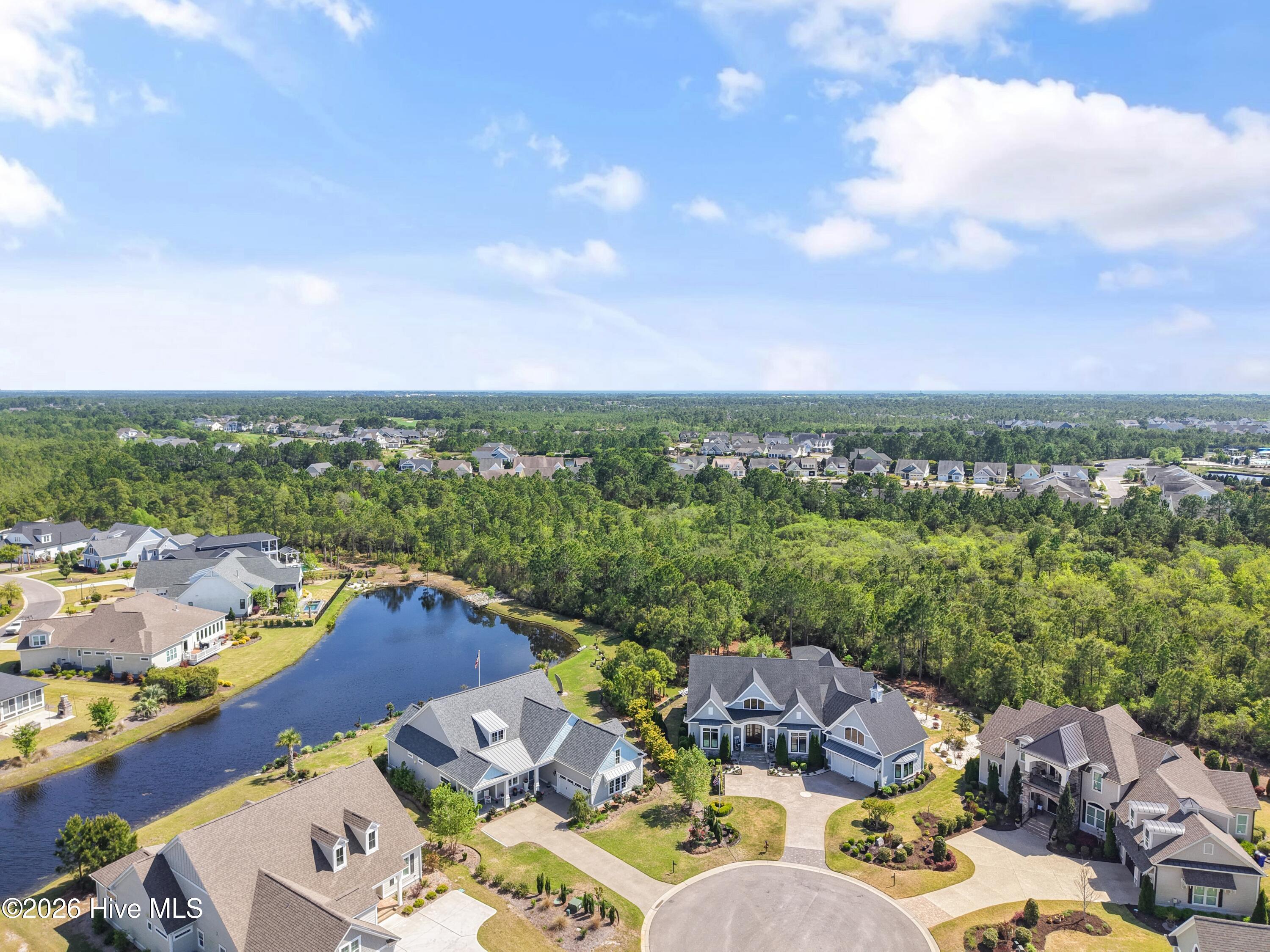 100560288 | Photo 81