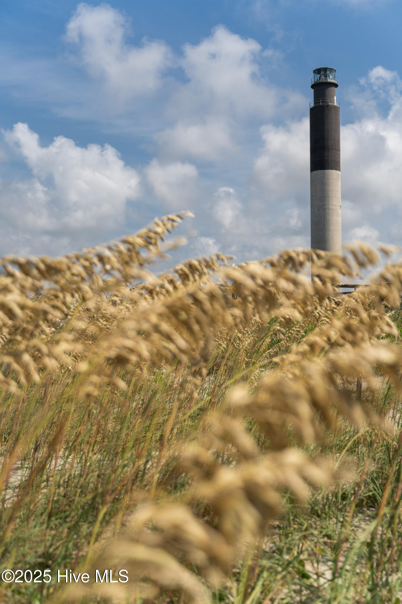 100545908 | Photo 75