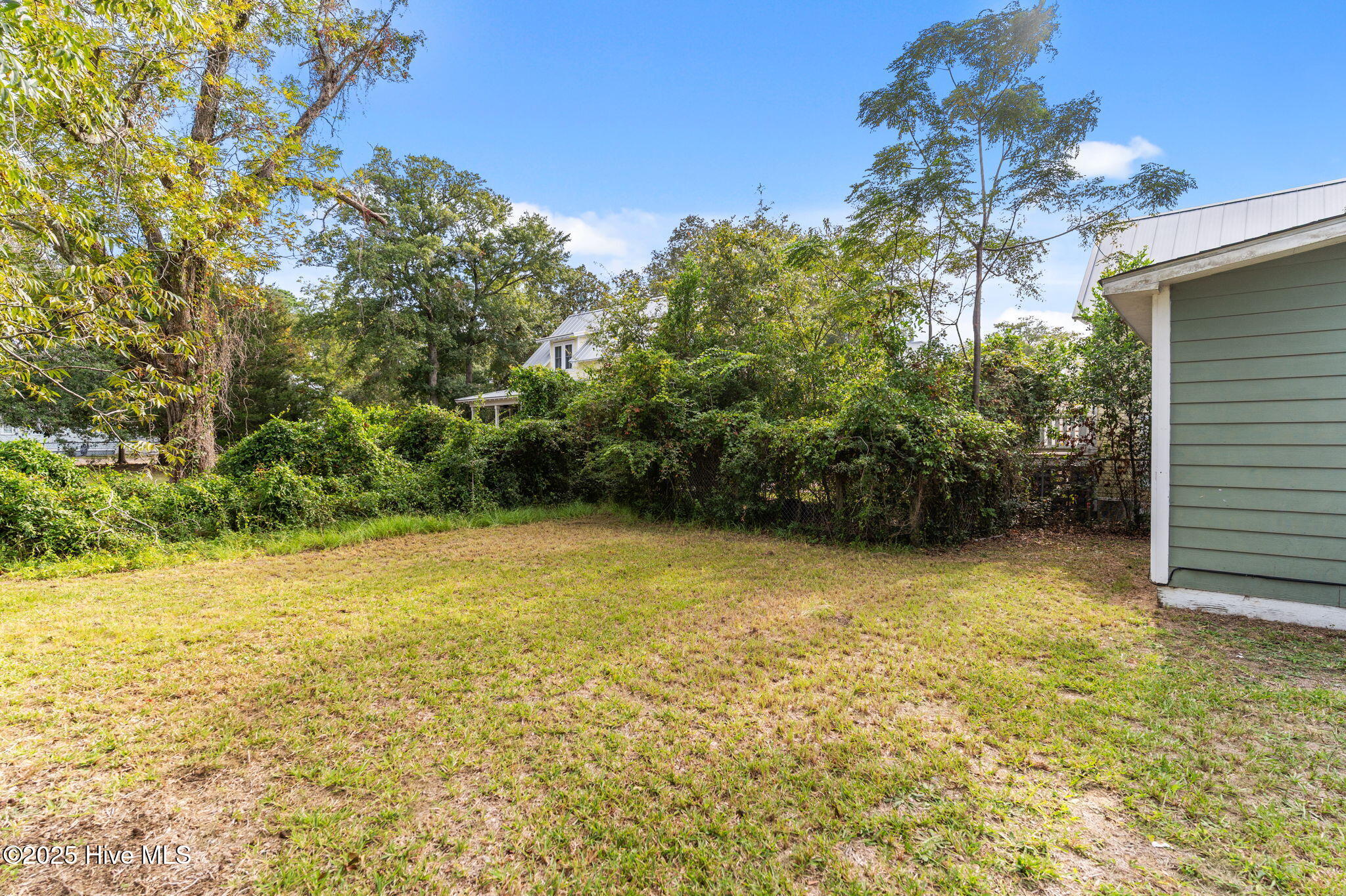 100550453 | Photo 10