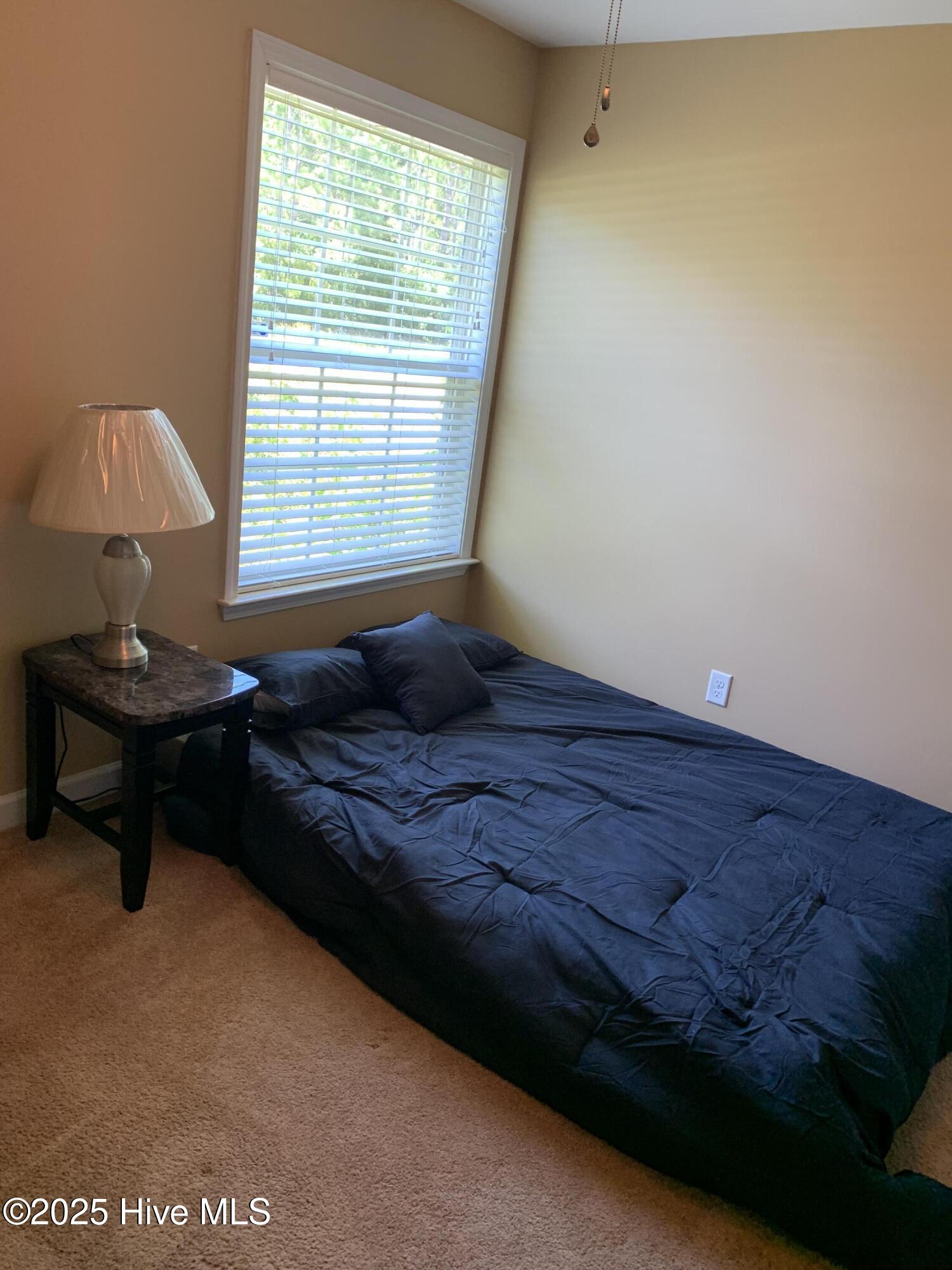 100535861 | Photo 11