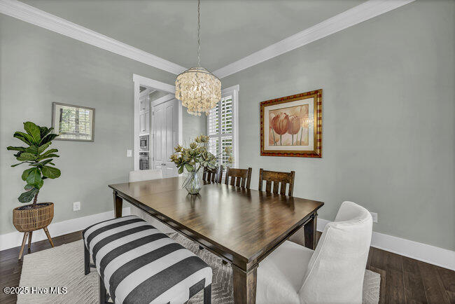 100528964 | Photo 18