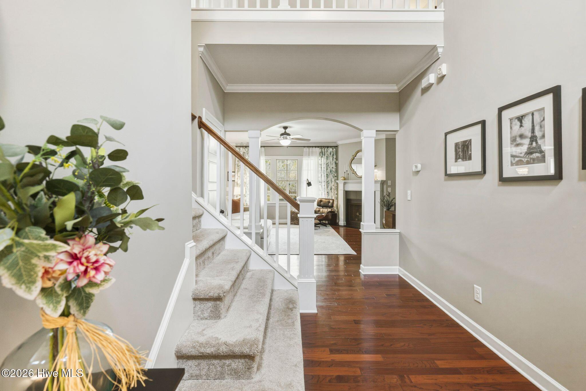 100562110 | Photo 10