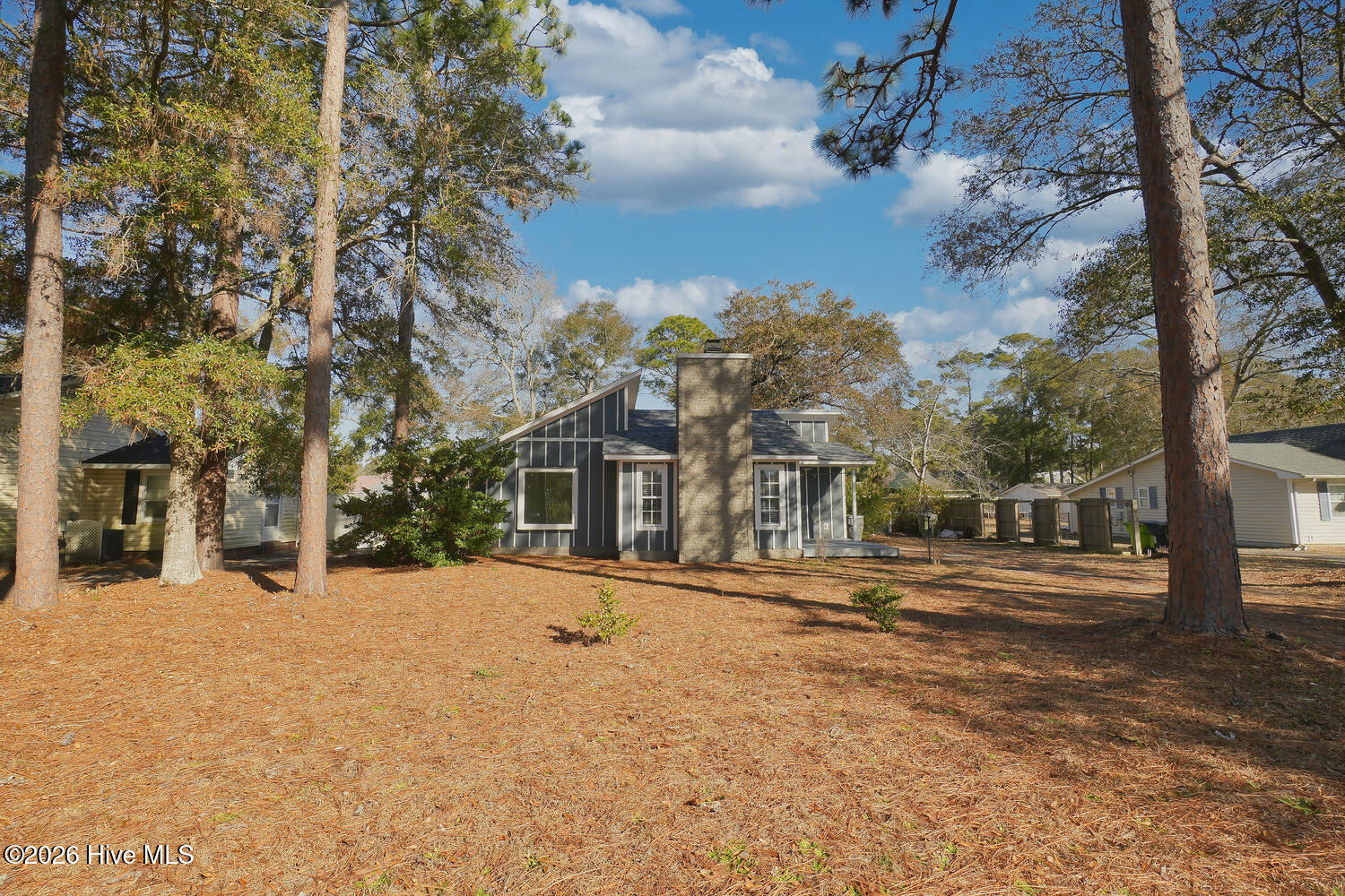 100546662 | Photo 26