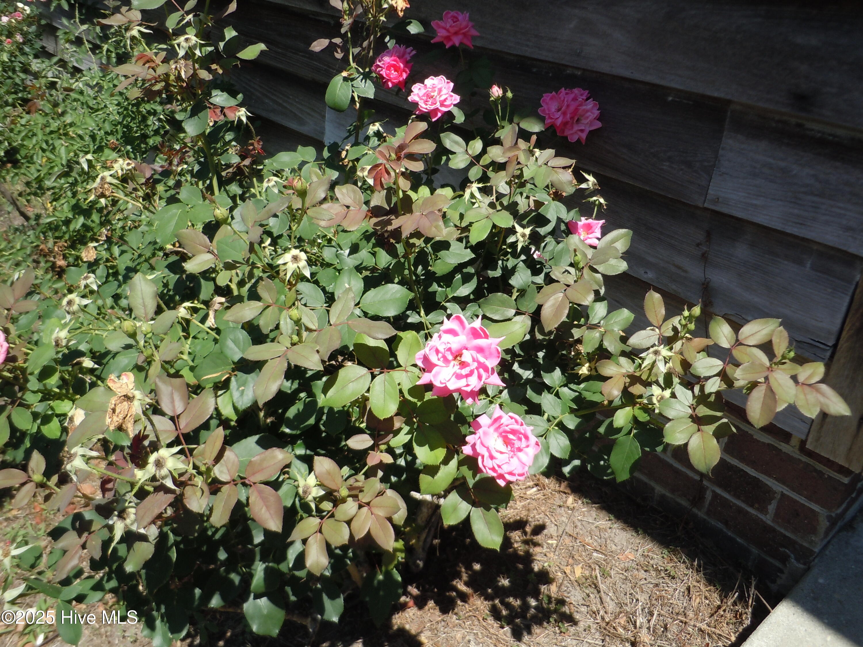 100533053 | Photo 82