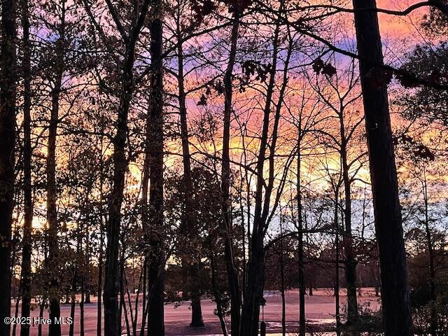 100548095 | Photo 13