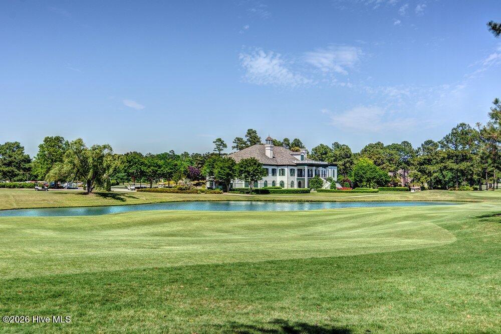 100554761 | Photo 98