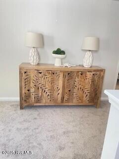 100562786 | Photo 15