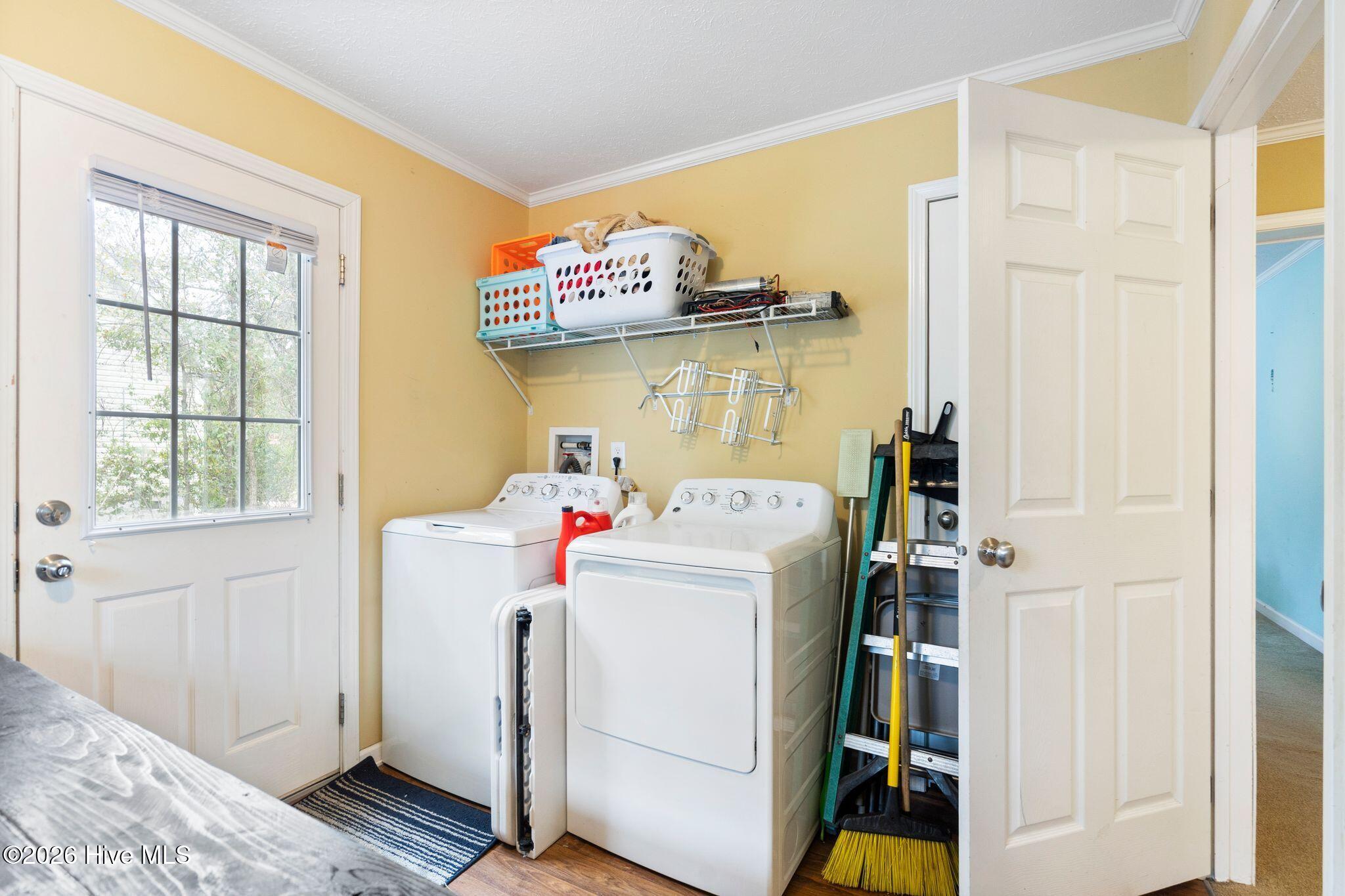 100558385 | Photo 39